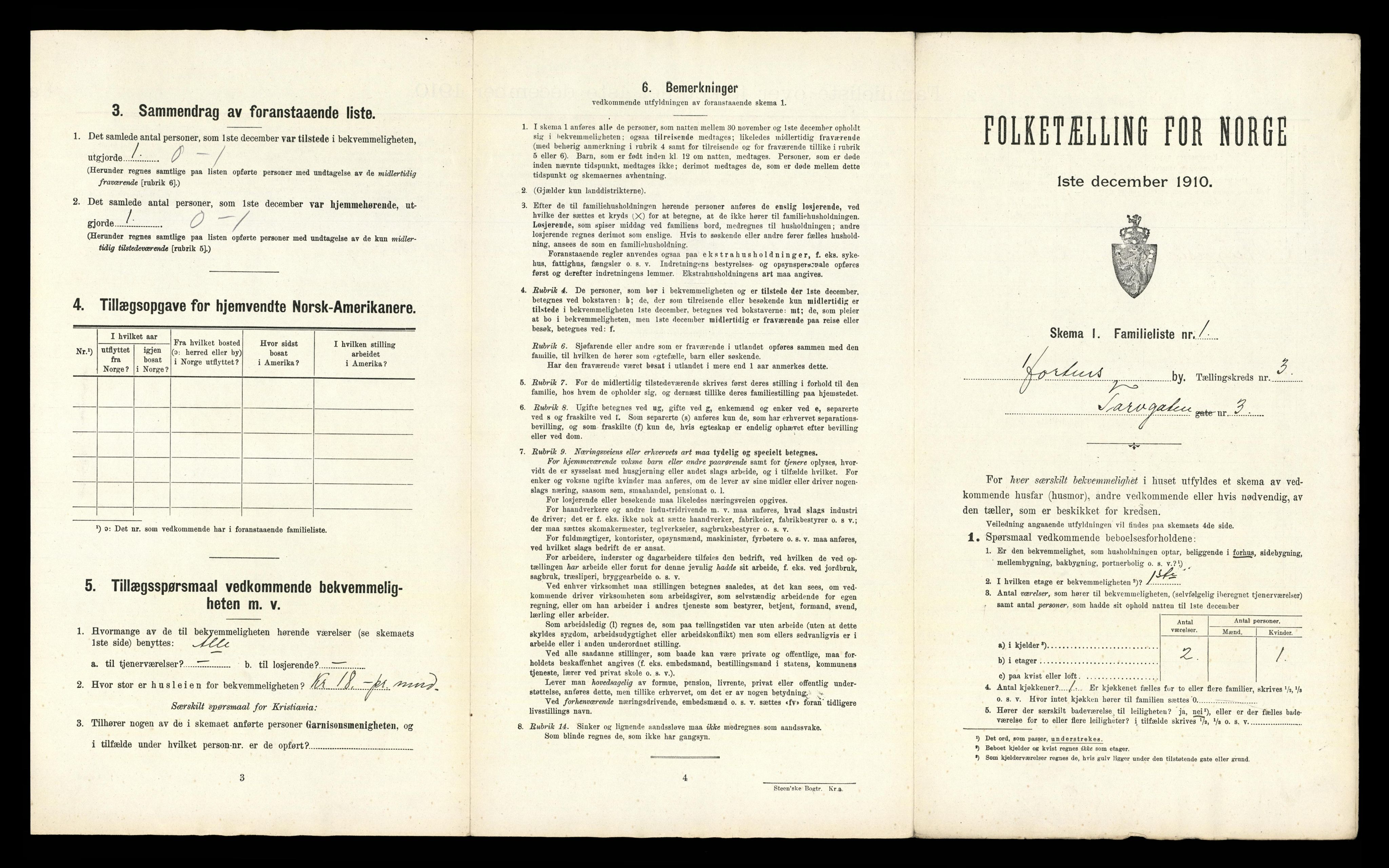 RA, 1910 census for Horten, 1910, p. 3100