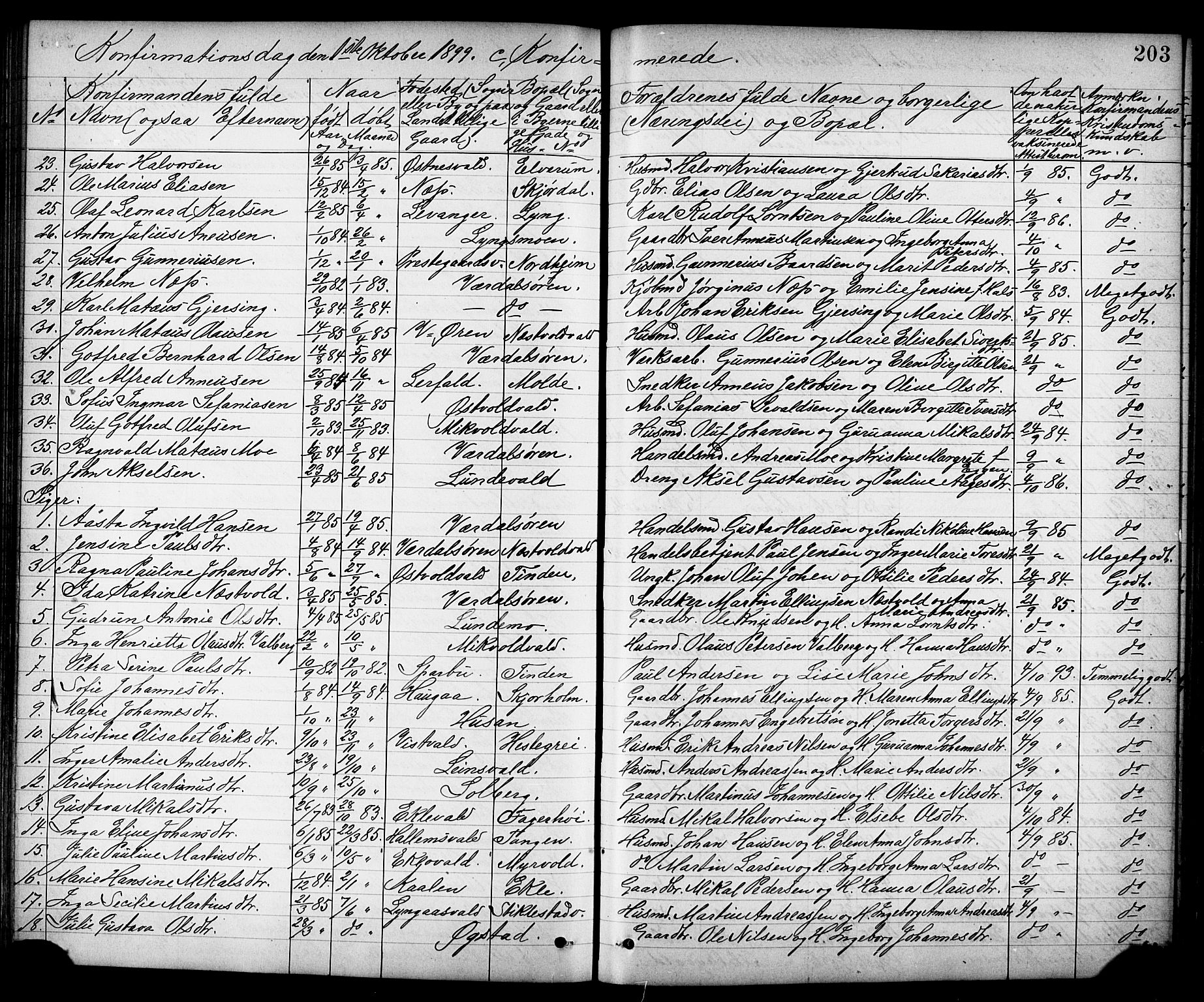 Ministerialprotokoller, klokkerbøker og fødselsregistre - Nord-Trøndelag, SAT/A-1458/723/L0257: Parish register (copy) no. 723C05, 1890-1907, p. 203