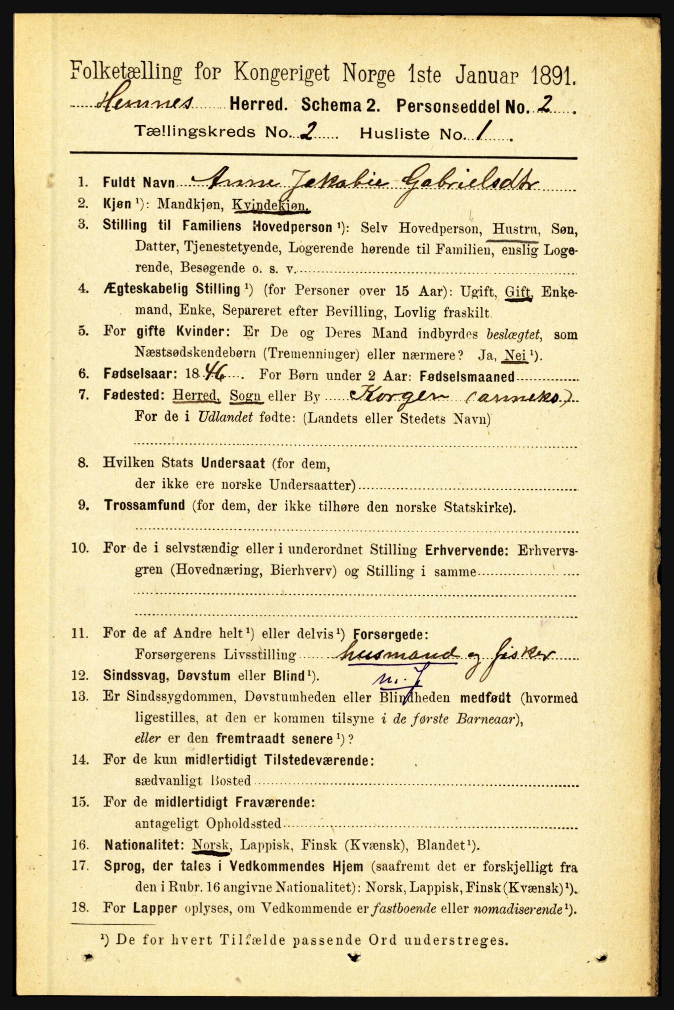 RA, 1891 census for 1832 Hemnes, 1891, p. 1314