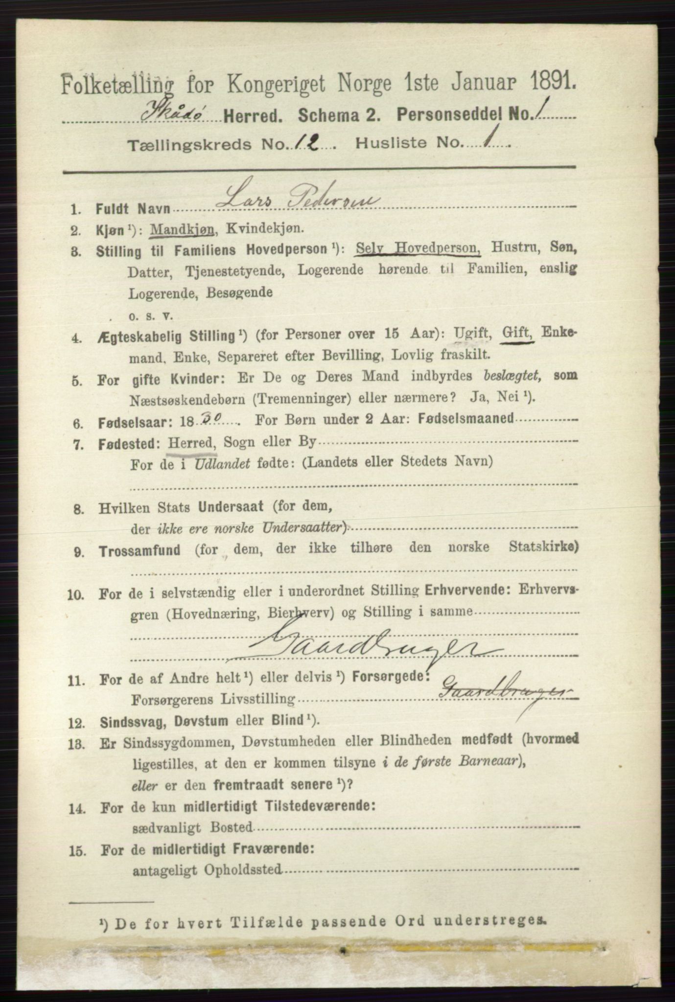 RA, 1891 census for 0815 Skåtøy, 1891, p. 4290