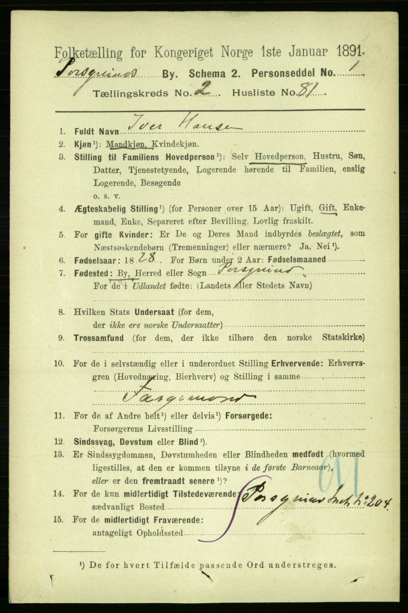 RA, 1891 census for 0805 Porsgrunn, 1891, p. 2779