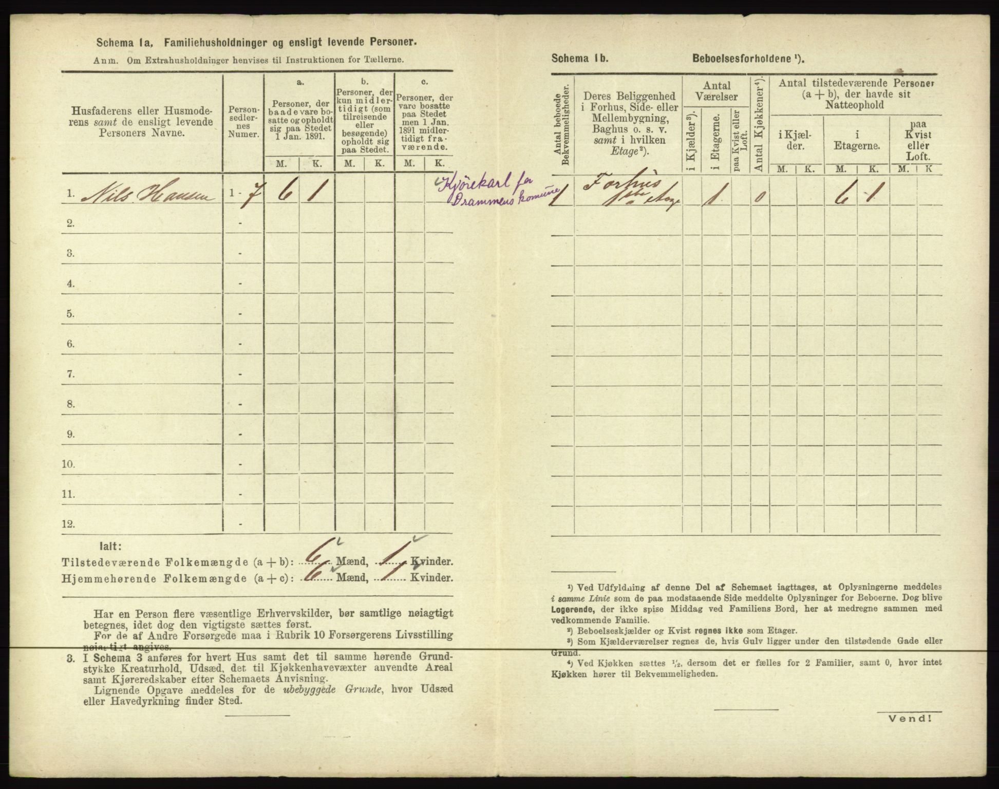 RA, 1891 census for 0602 Drammen, 1891, p. 356