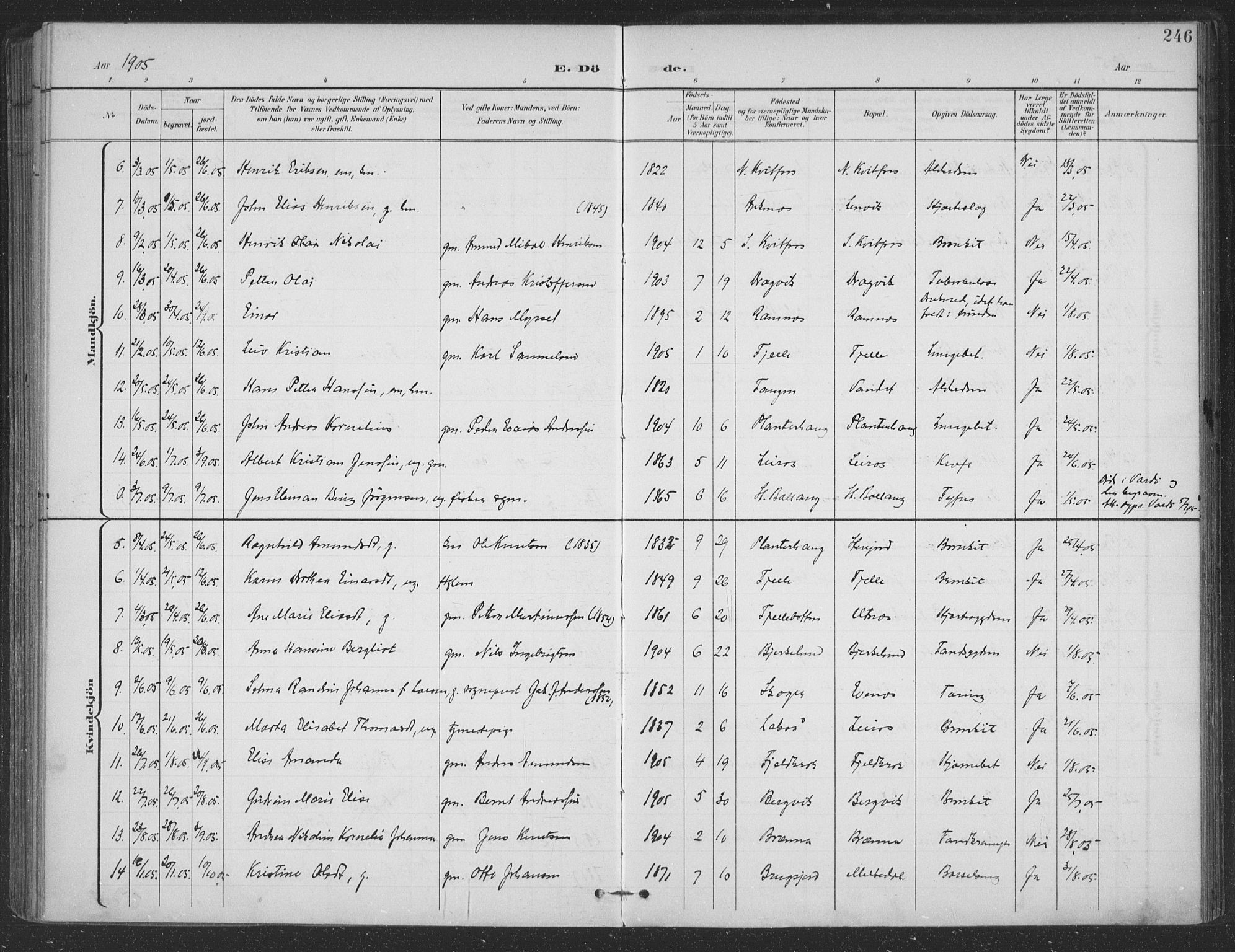 Ministerialprotokoller, klokkerbøker og fødselsregistre - Nordland, SAT/A-1459/863/L0899: Parish register (official) no. 863A11, 1897-1906, p. 246