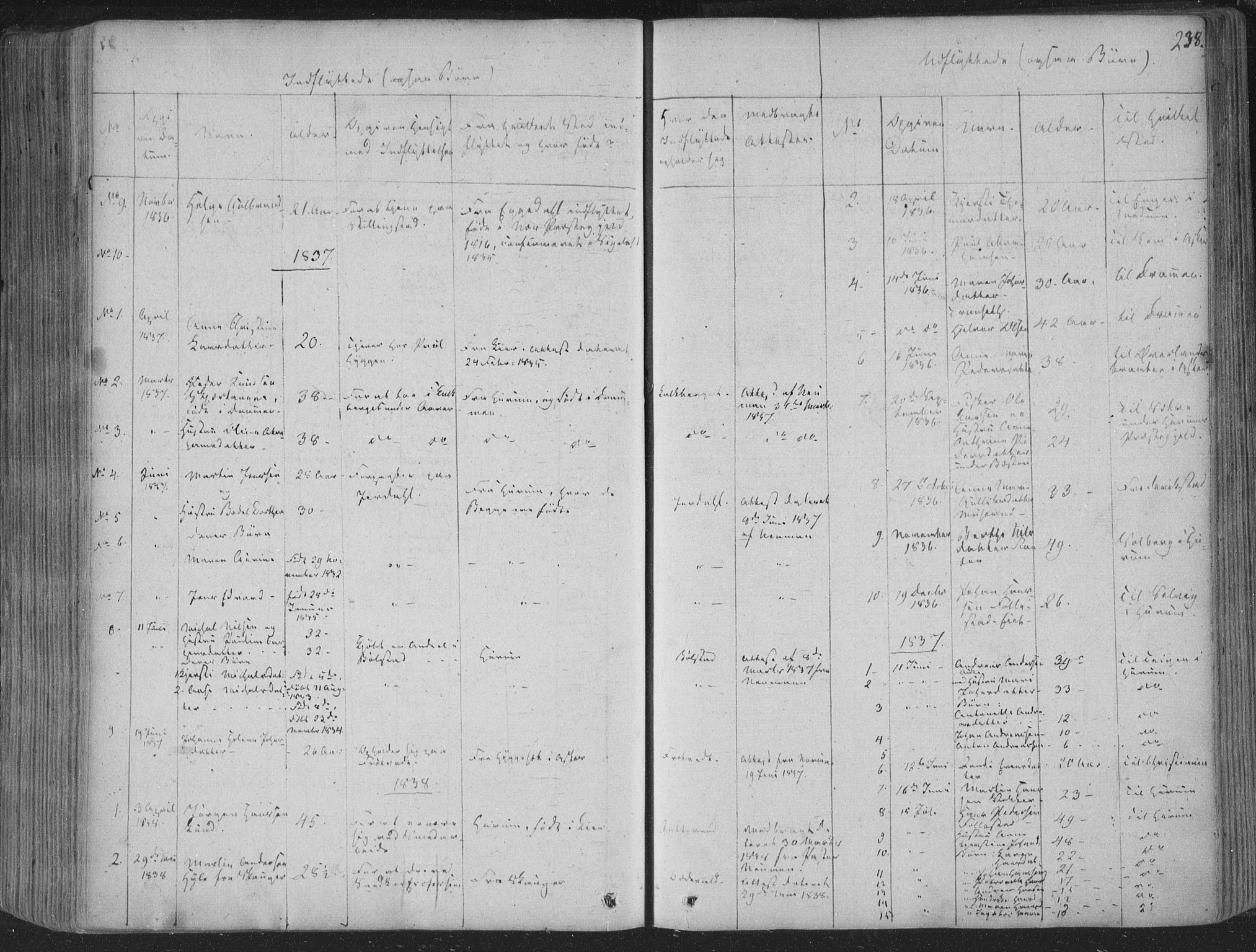 Røyken kirkebøker, AV/SAKO-A-241/F/Fa/L0005: Parish register (official) no. 5, 1833-1856, p. 238