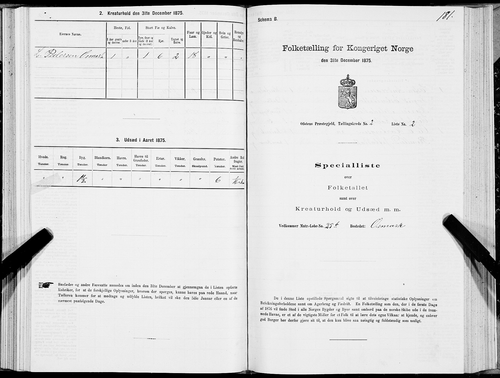 SAT, 1875 census for 1853P Ofoten, 1875, p. 1181