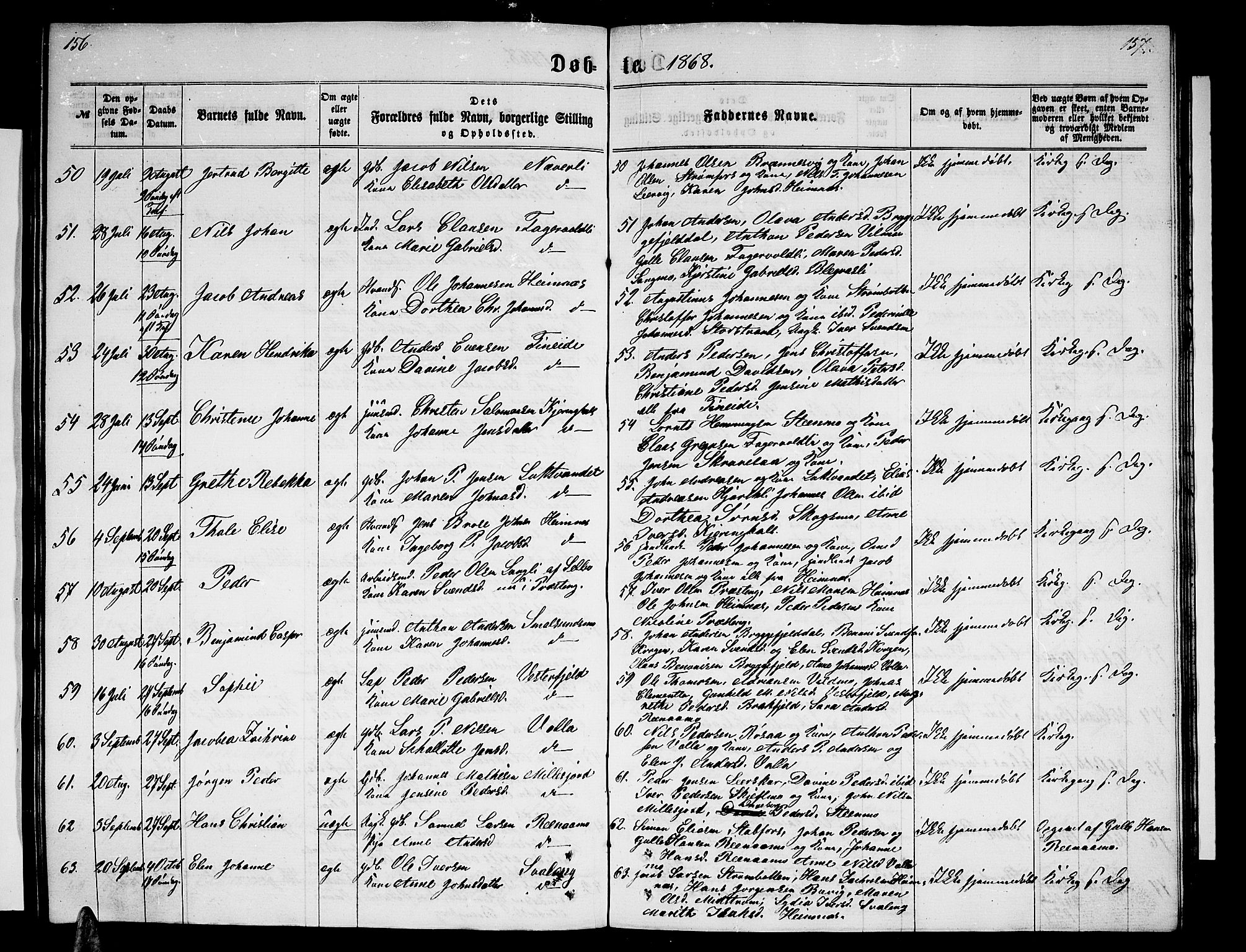 Ministerialprotokoller, klokkerbøker og fødselsregistre - Nordland, SAT/A-1459/825/L0365: Parish register (copy) no. 825C02, 1858-1873, p. 156-157