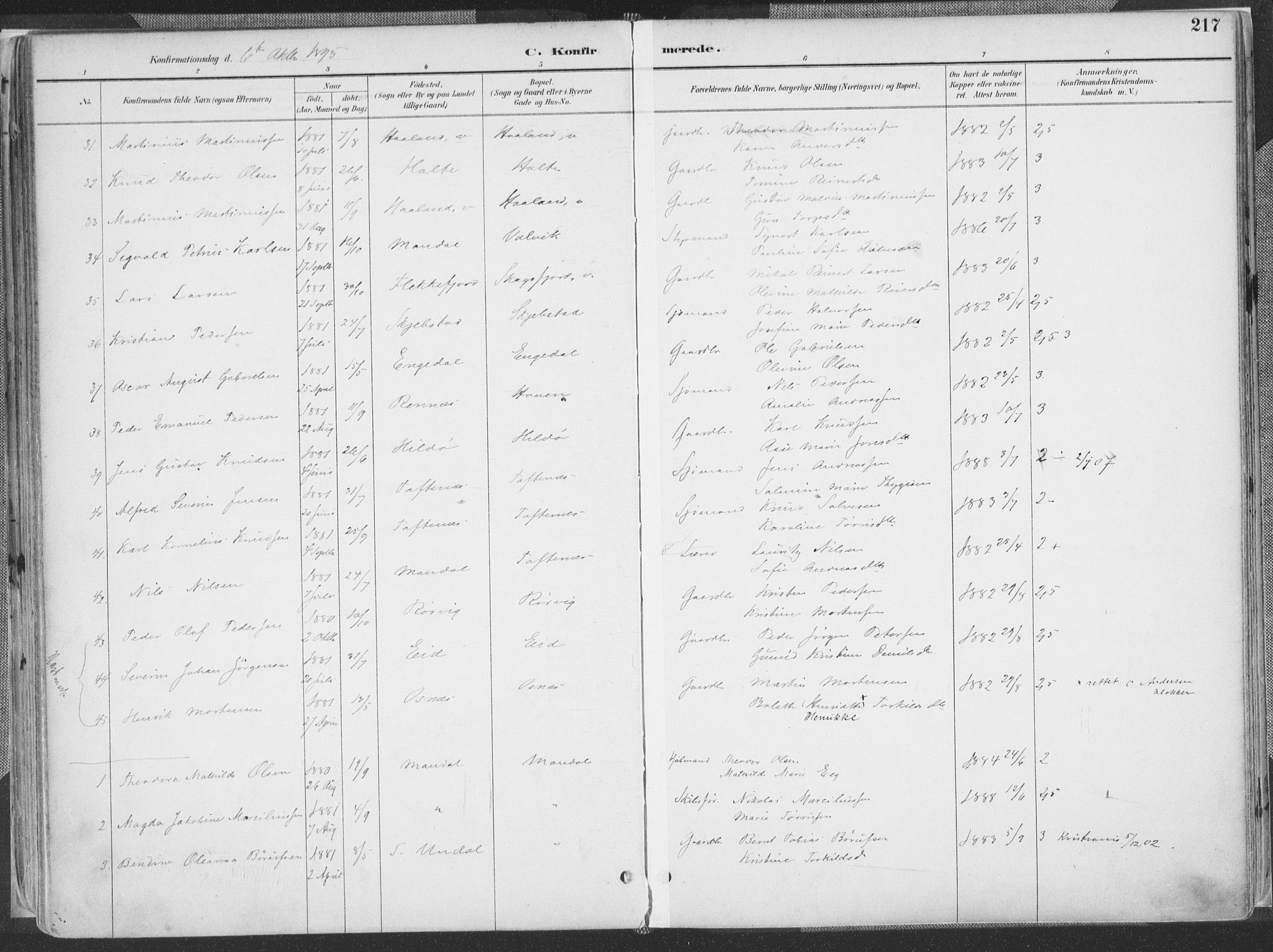 Mandal sokneprestkontor, SAK/1111-0030/F/Fa/Faa/L0018: Parish register (official) no. A 18, 1890-1905, p. 217