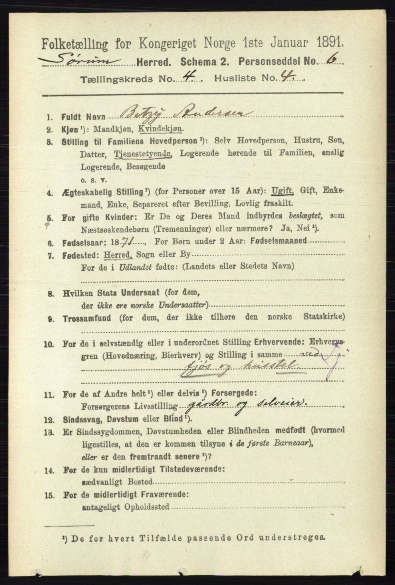 RA, 1891 census for 0226 Sørum, 1891, p. 1899