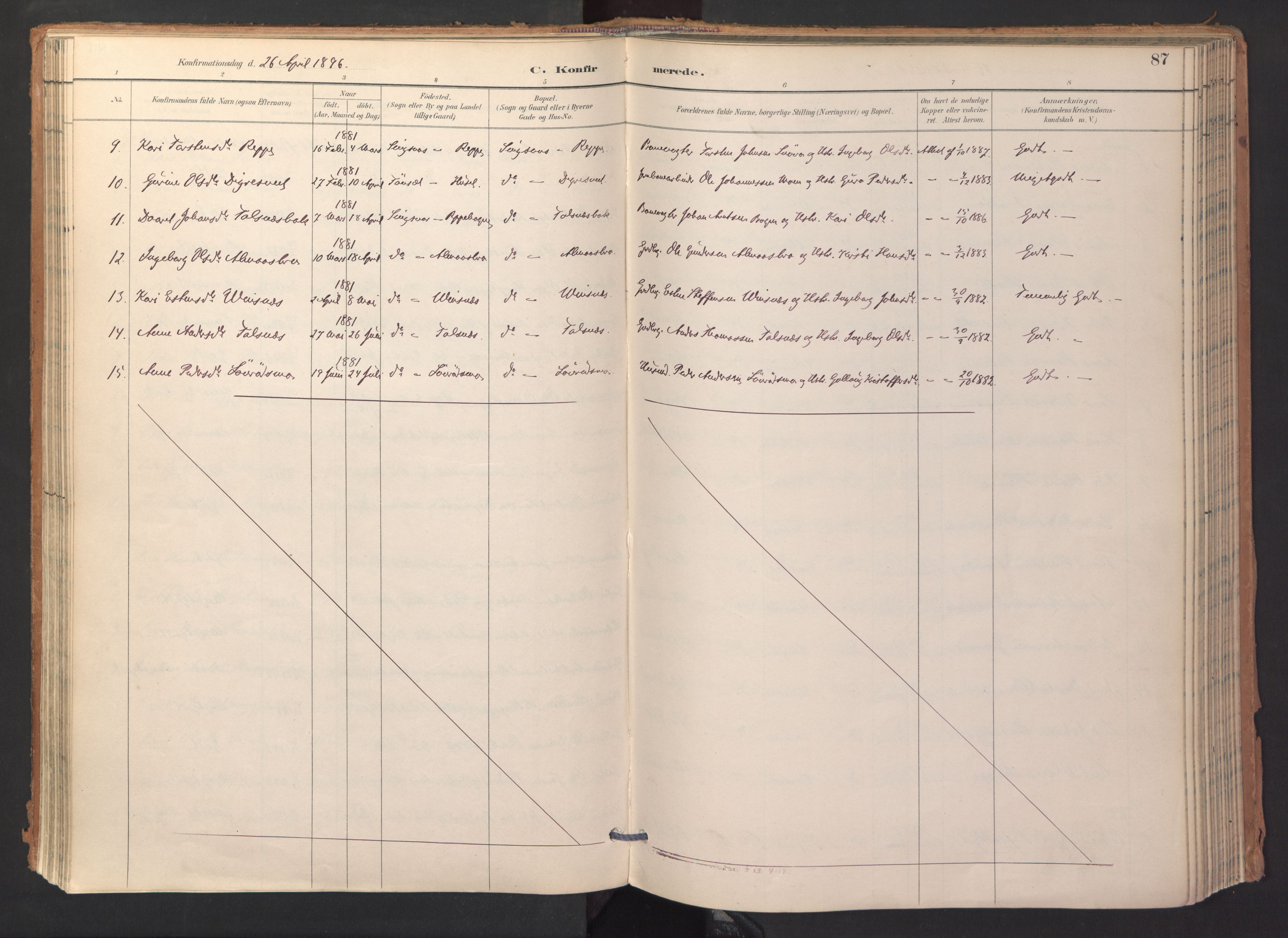 Ministerialprotokoller, klokkerbøker og fødselsregistre - Sør-Trøndelag, AV/SAT-A-1456/688/L1025: Parish register (official) no. 688A02, 1891-1909, p. 87