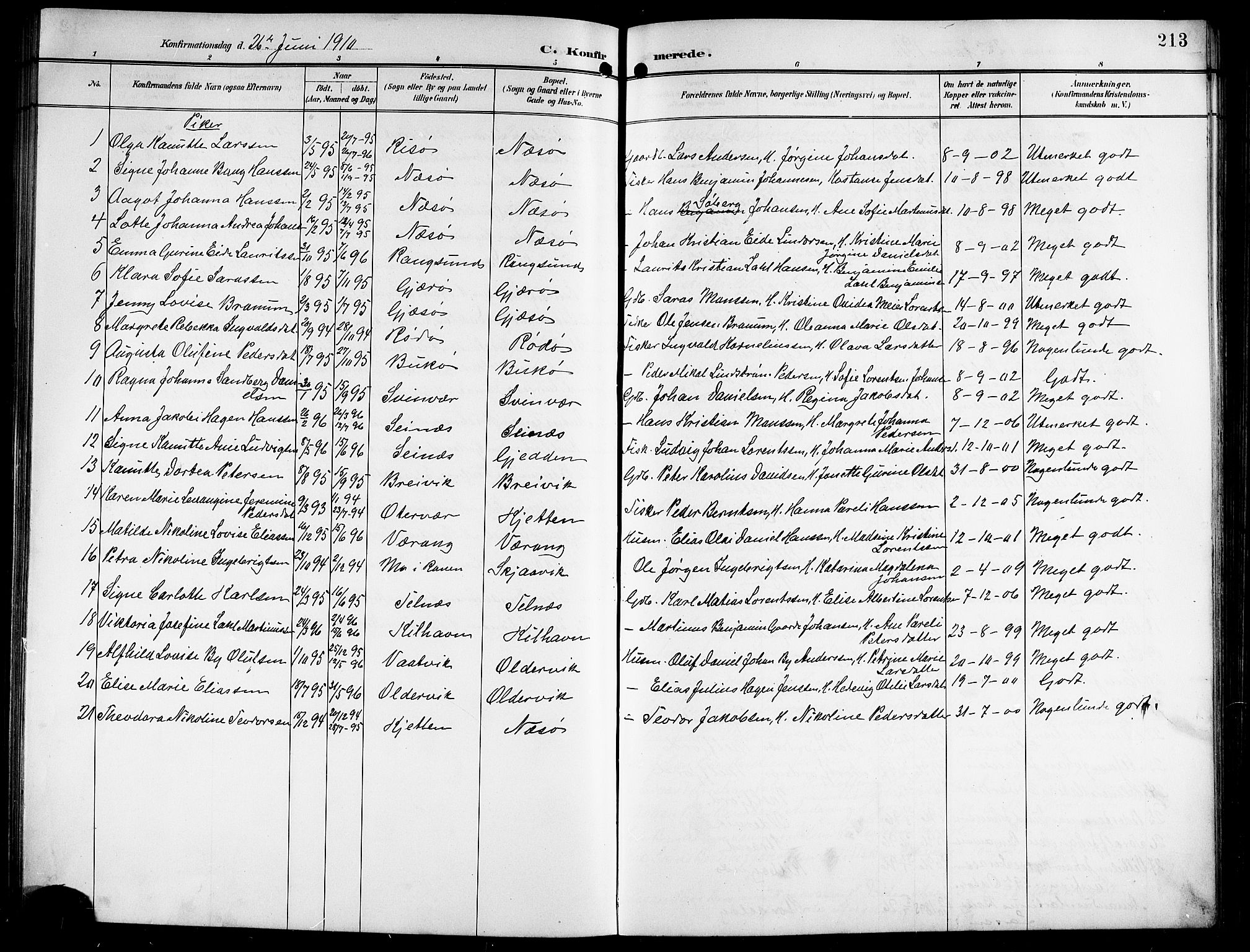 Ministerialprotokoller, klokkerbøker og fødselsregistre - Nordland, SAT/A-1459/841/L0621: Parish register (copy) no. 841C05, 1897-1923, p. 213