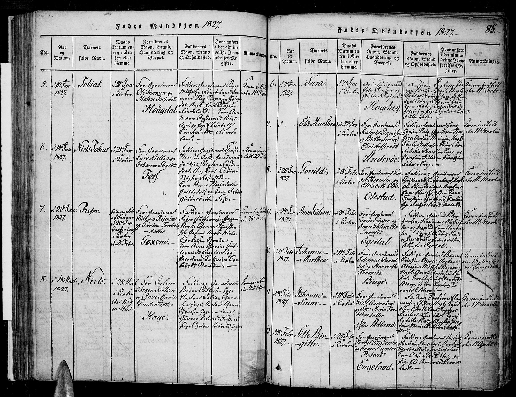 Sør-Audnedal sokneprestkontor, SAK/1111-0039/F/Fa/Fab/L0005: Parish register (official) no. A 5, 1816-1830, p. 85