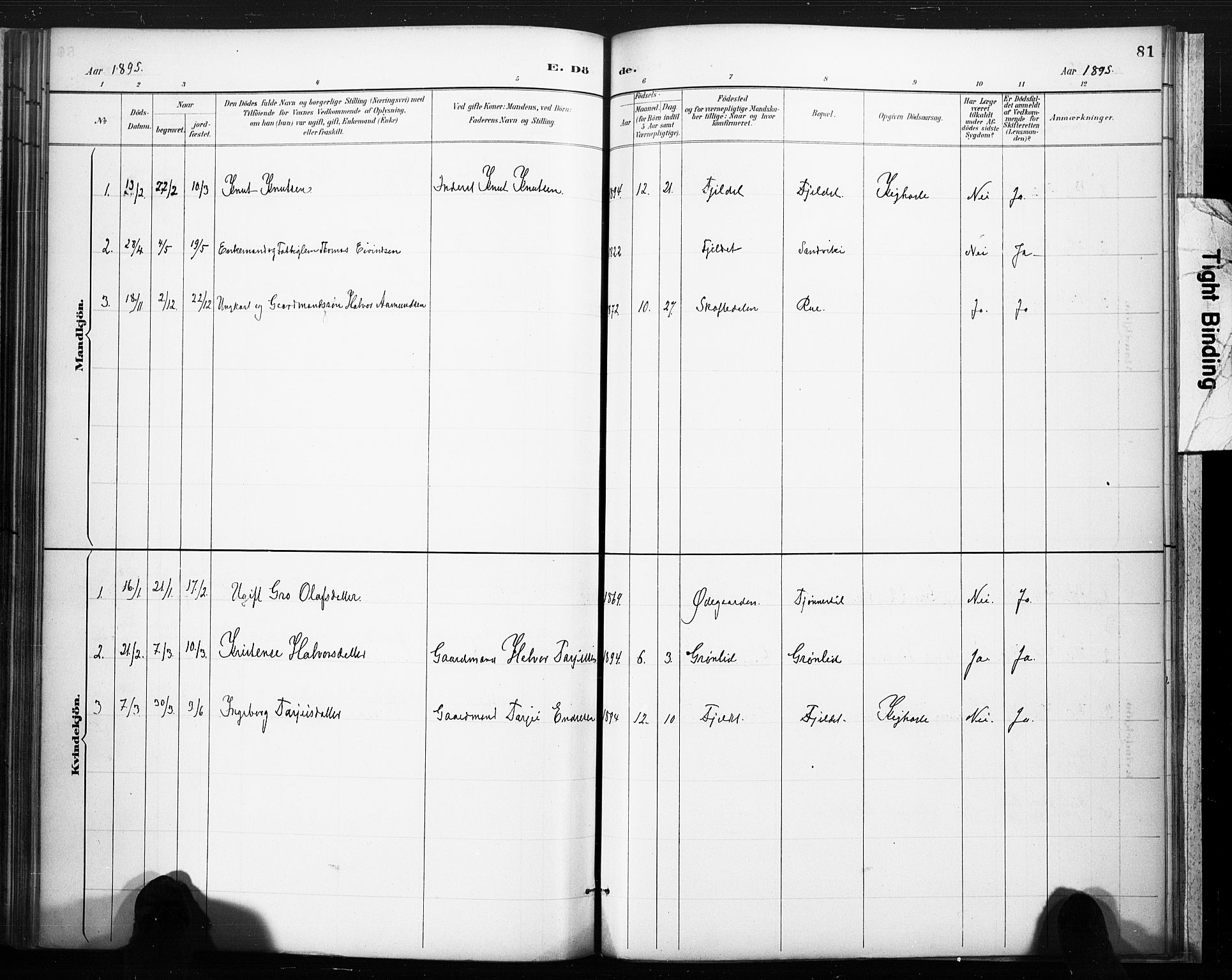 Lårdal kirkebøker, SAKO/A-284/F/Fc/L0002: Parish register (official) no. III 2, 1887-1906, p. 81