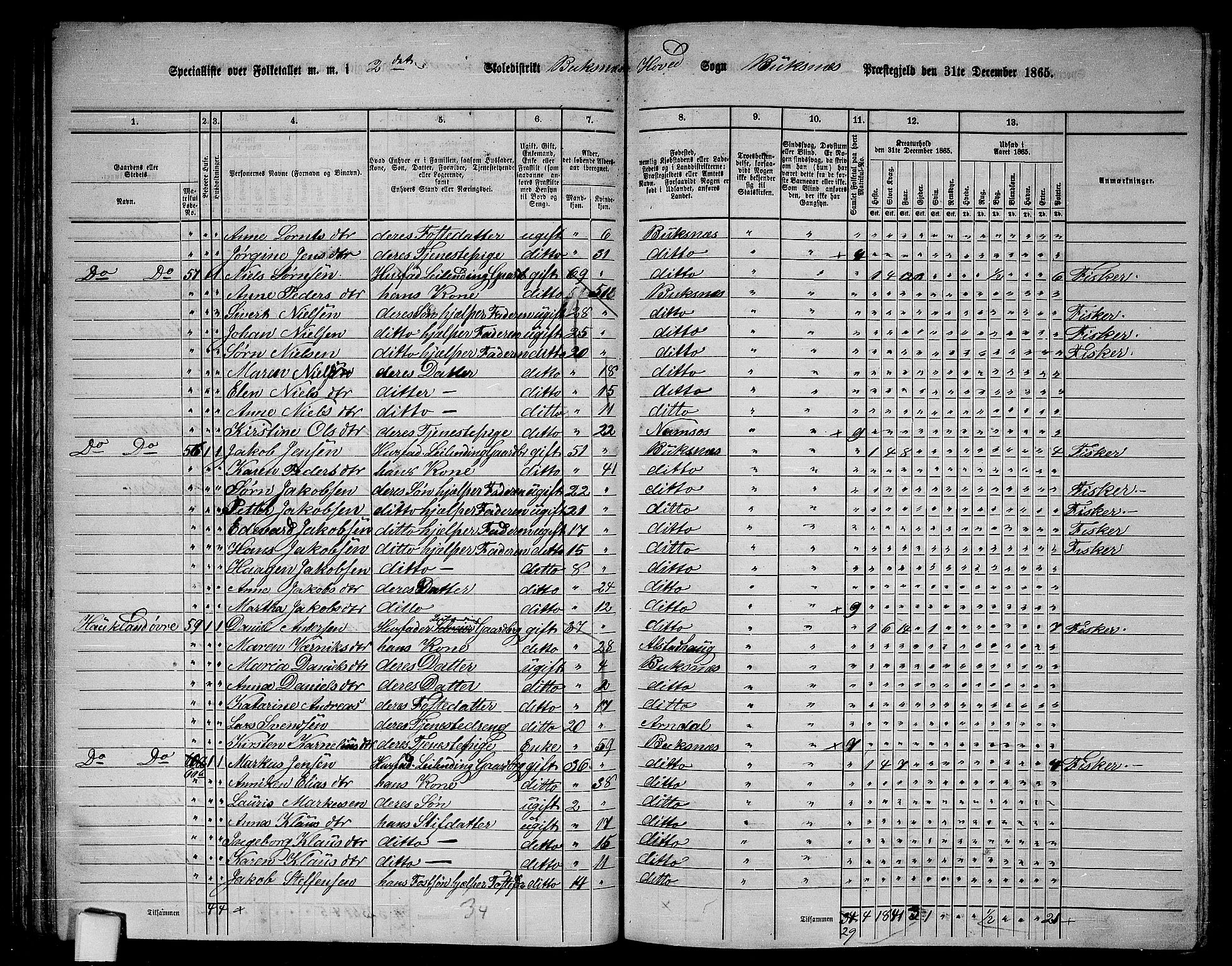 RA, 1865 census for Buksnes, 1865, p. 46