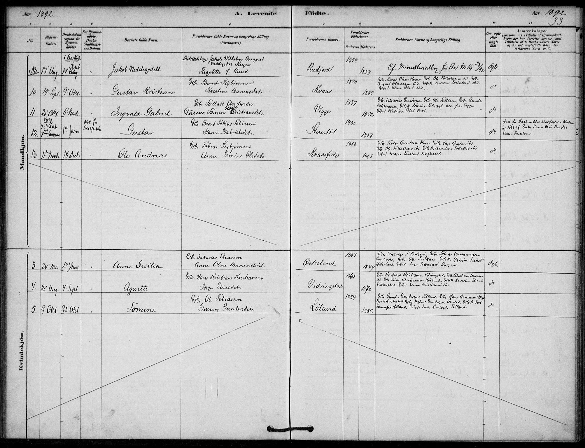 Lyngdal sokneprestkontor, AV/SAK-1111-0029/F/Fa/Fab/L0003: Parish register (official) no. A 3, 1878-1903, p. 33