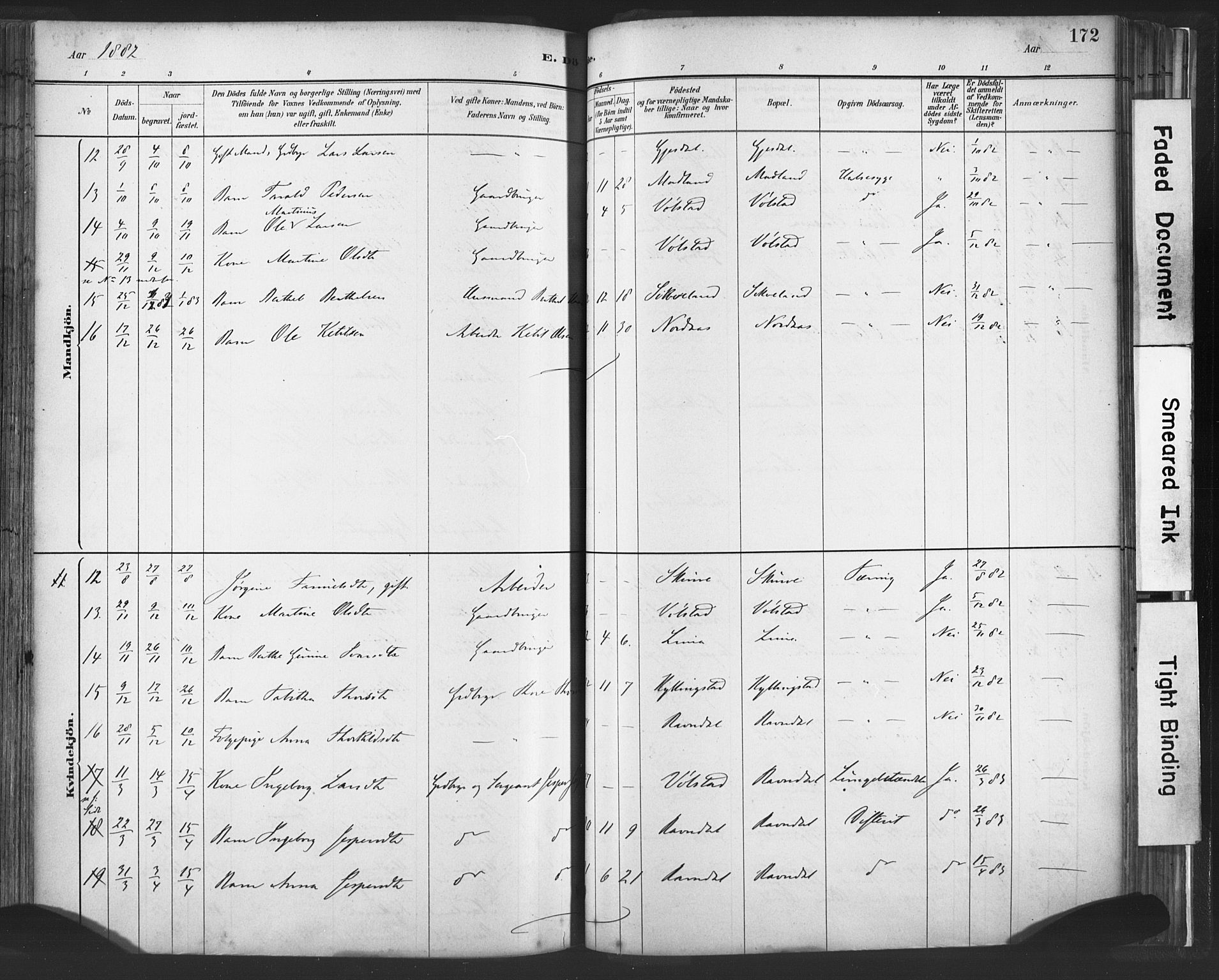 Lye sokneprestkontor, AV/SAST-A-101794/001/30BA/L0010: Parish register (official) no. A 10, 1881-1896, p. 172