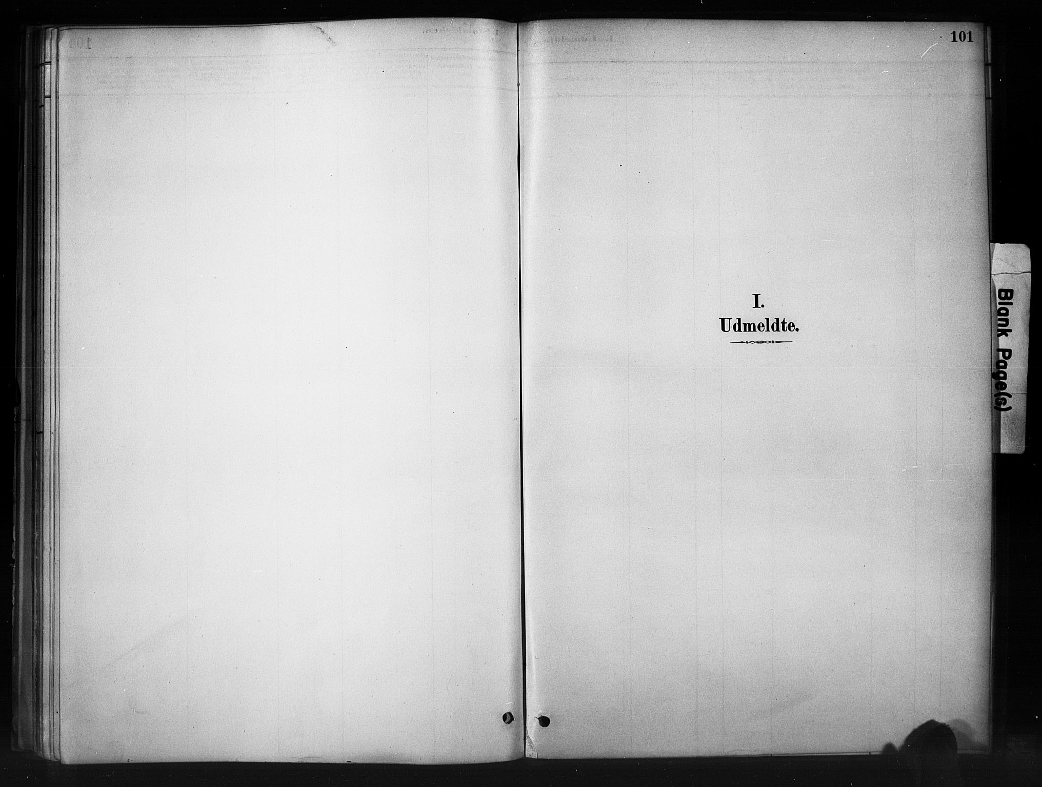 Nord-Aurdal prestekontor, SAH/PREST-132/H/Ha/Haa/L0011: Parish register (official) no. 11, 1883-1896, p. 101