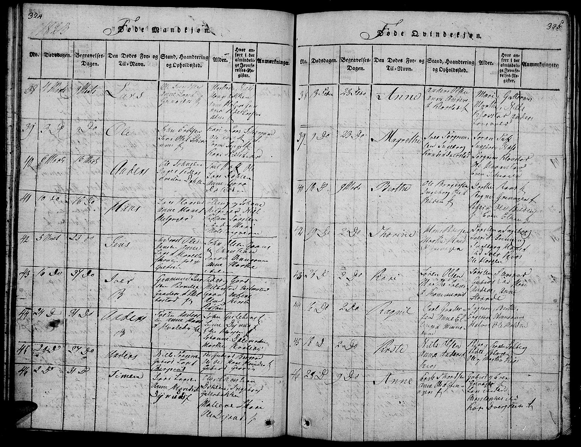 Gran prestekontor, AV/SAH-PREST-112/H/Ha/Hab/L0001: Parish register (copy) no. 1, 1815-1824, p. 324-325