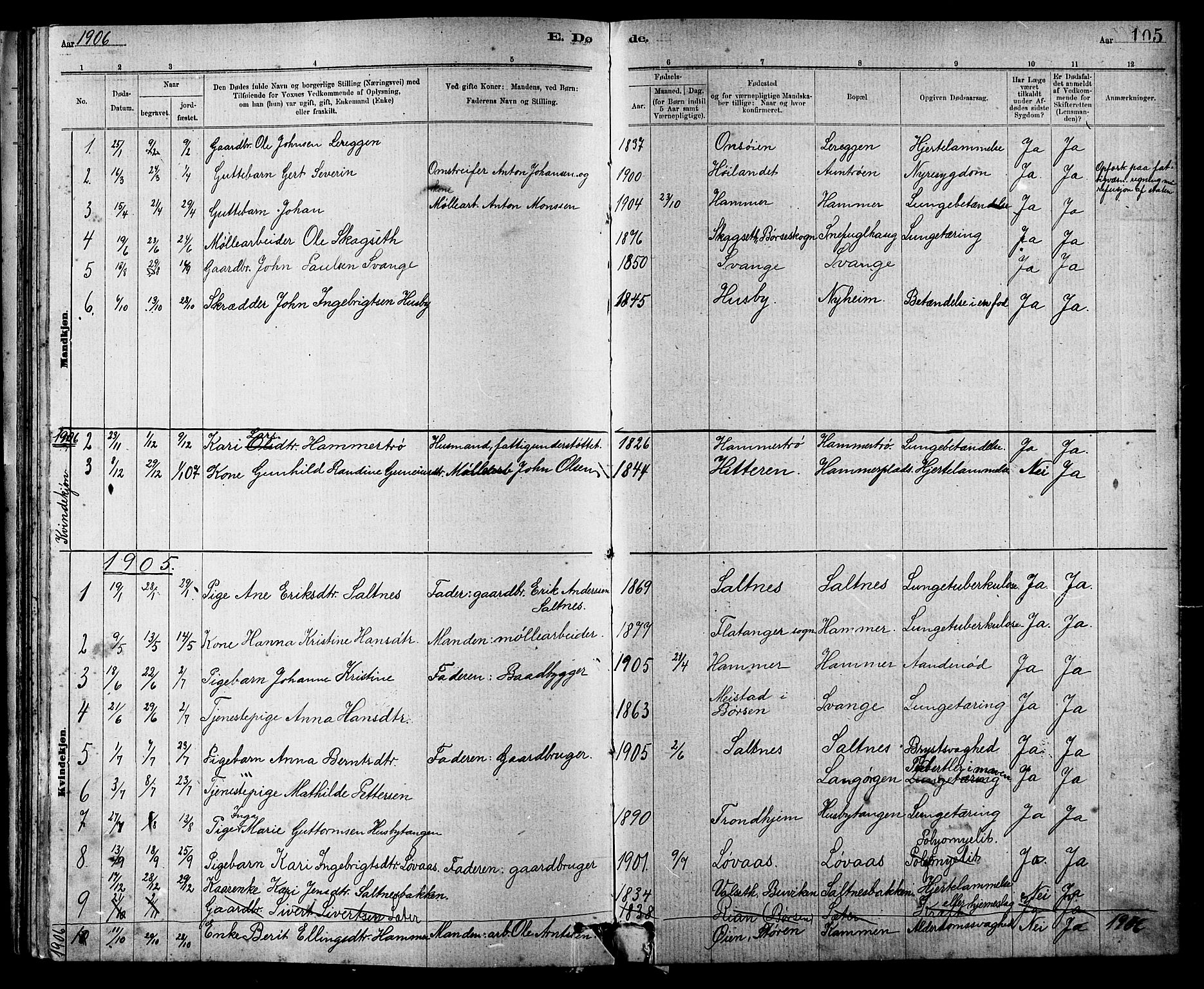 Ministerialprotokoller, klokkerbøker og fødselsregistre - Sør-Trøndelag, SAT/A-1456/666/L0790: Parish register (copy) no. 666C03, 1885-1908, p. 105