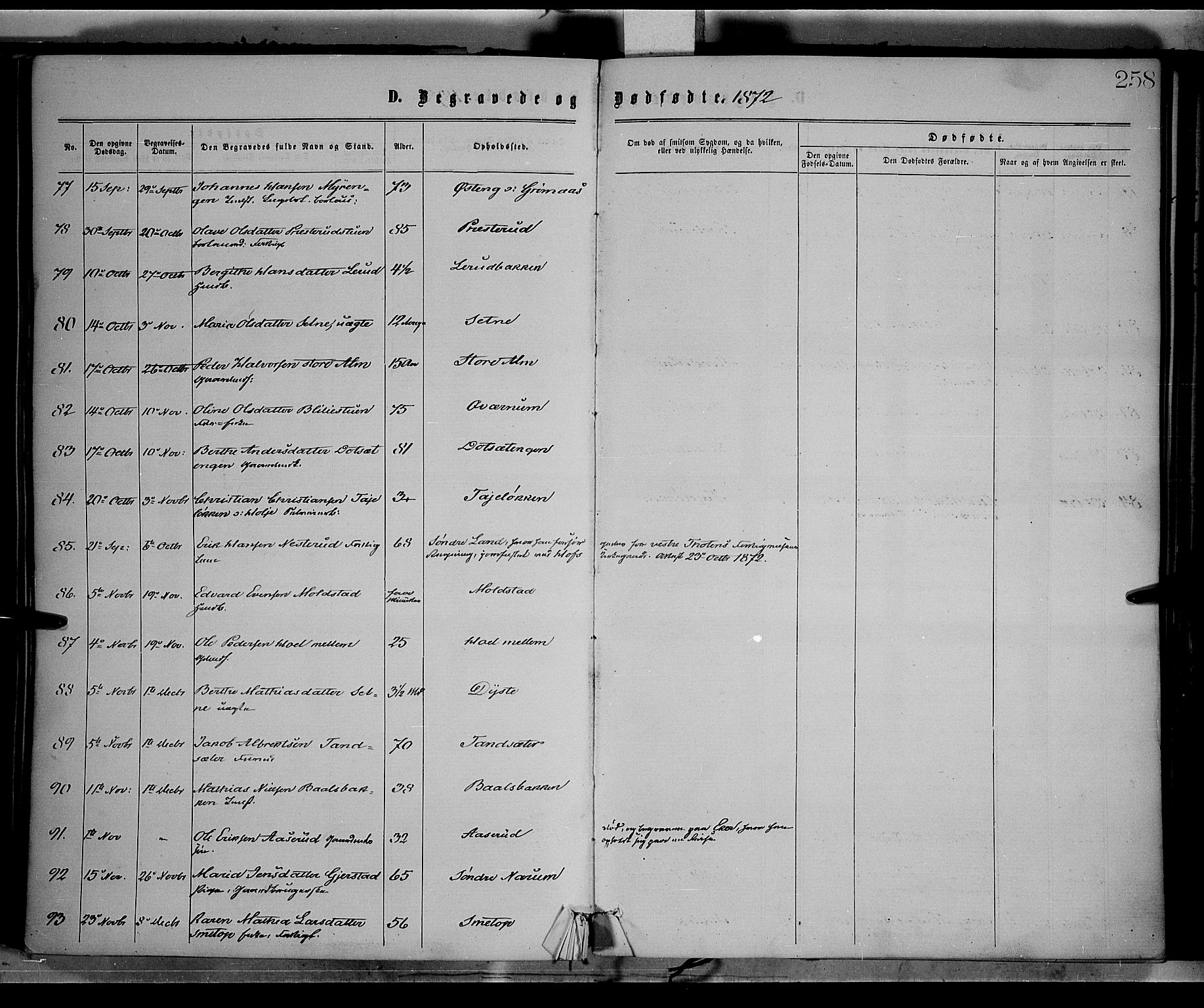 Vestre Toten prestekontor, SAH/PREST-108/H/Ha/Haa/L0008: Parish register (official) no. 8, 1870-1877, p. 258