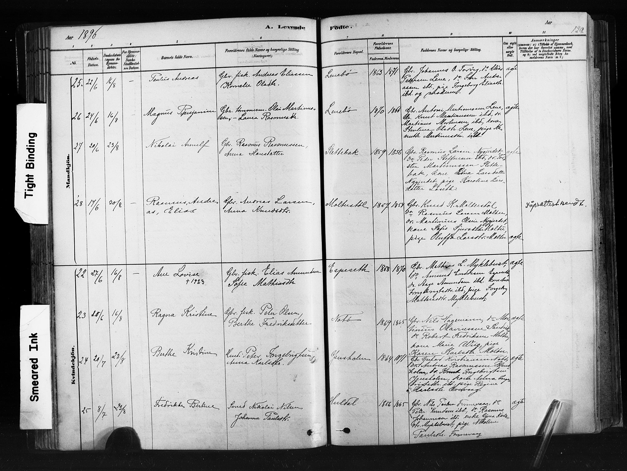 Ministerialprotokoller, klokkerbøker og fødselsregistre - Møre og Romsdal, AV/SAT-A-1454/507/L0073: Parish register (official) no. 507A08, 1878-1904, p. 129