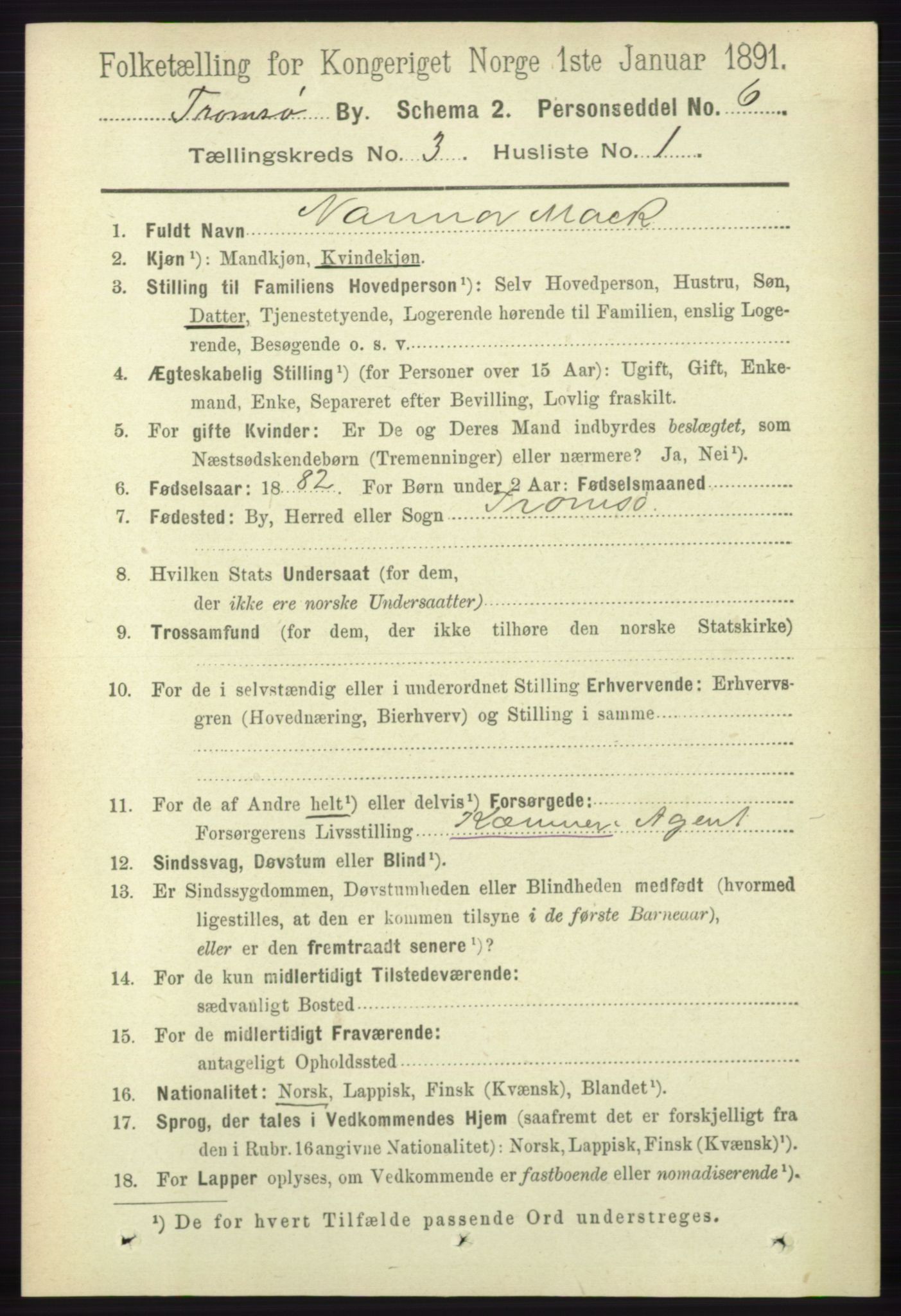 RA, 1891 census for 1902 Tromsø, 1891, p. 3179