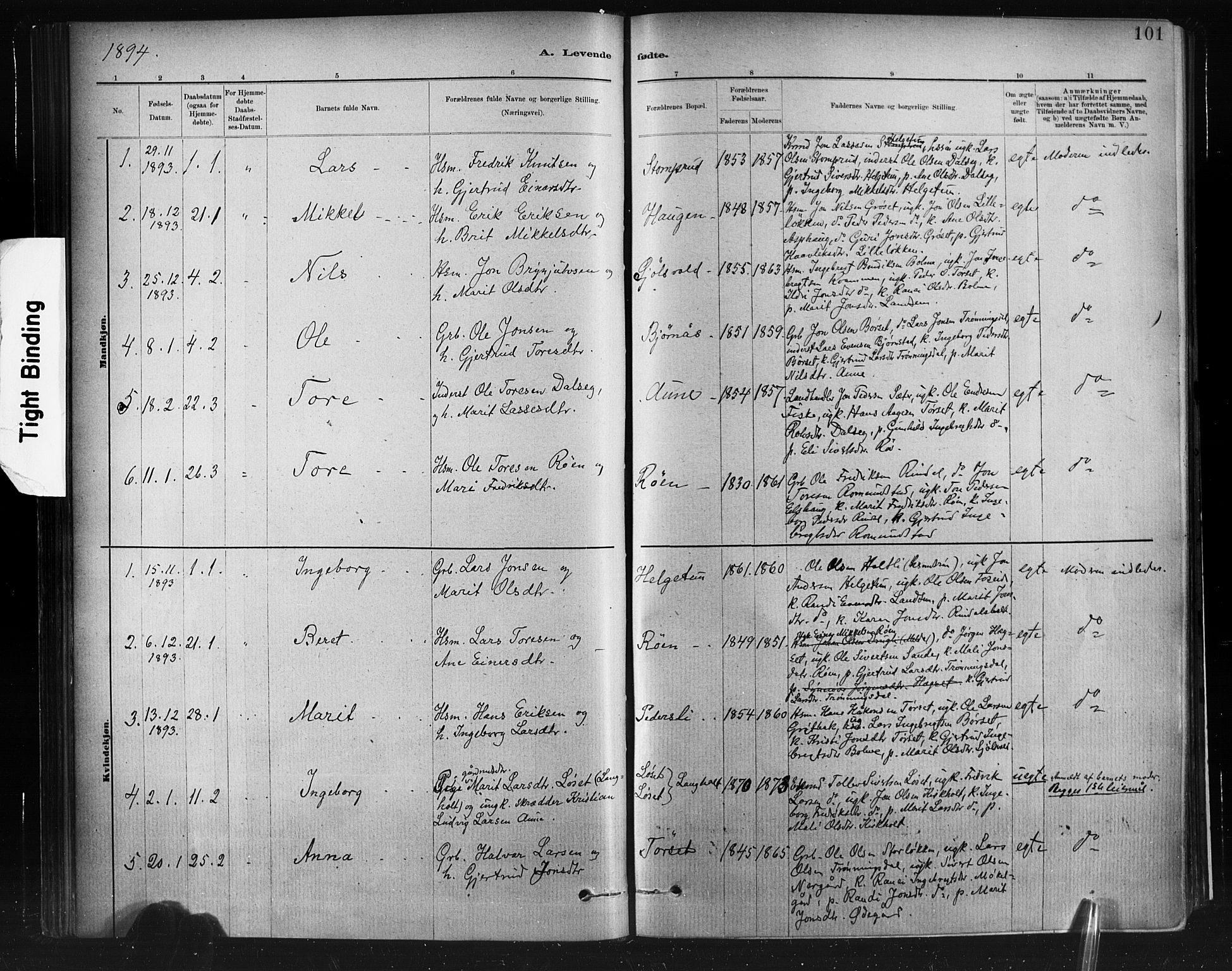 Ministerialprotokoller, klokkerbøker og fødselsregistre - Møre og Romsdal, AV/SAT-A-1454/598/L1069: Parish register (official) no. 598A03, 1882-1895, p. 101