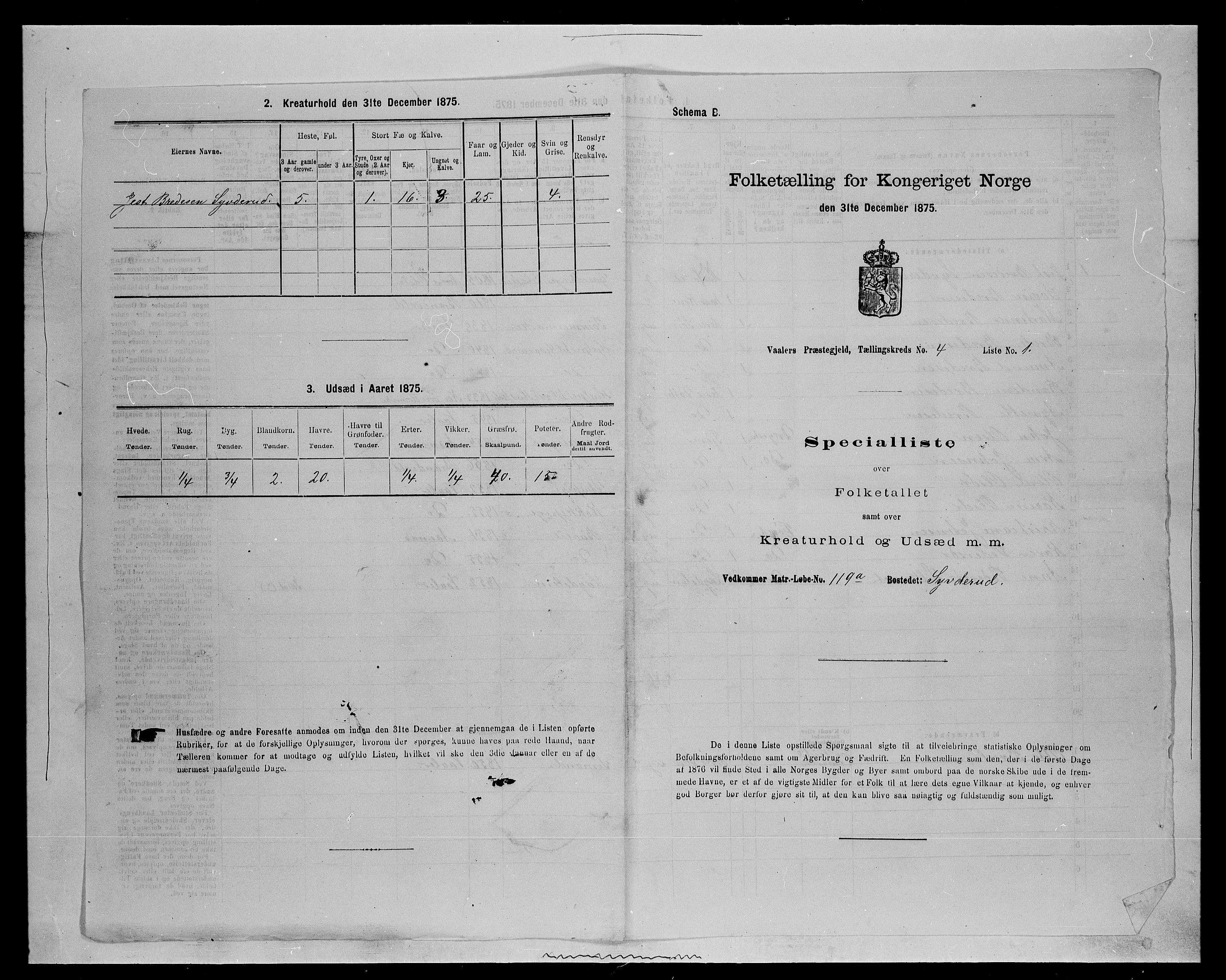 SAH, 1875 census for 0426P Våler parish (Hedmark), 1875, p. 494