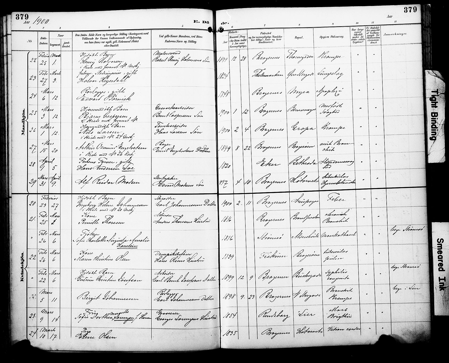 Bragernes kirkebøker, AV/SAKO-A-6/F/Fb/L0008: Parish register (official) no. II 8, 1894-1902, p. 379