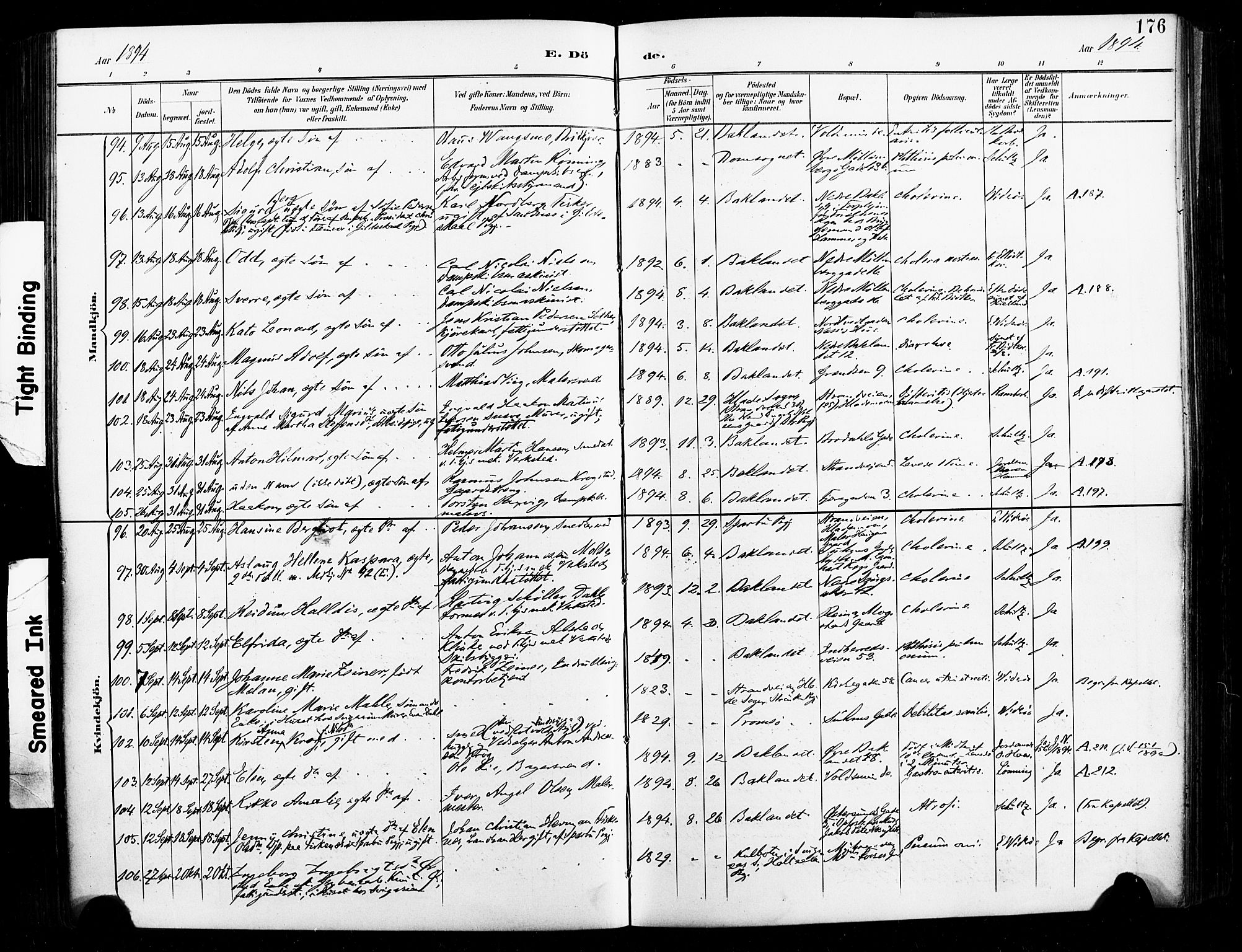 Ministerialprotokoller, klokkerbøker og fødselsregistre - Sør-Trøndelag, AV/SAT-A-1456/604/L0198: Parish register (official) no. 604A19, 1893-1900, p. 176