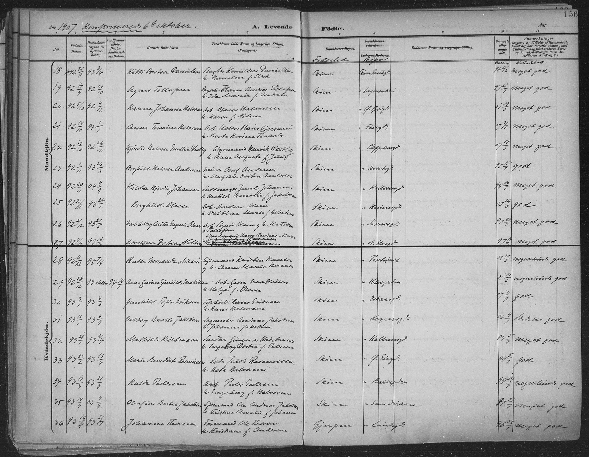 Skien kirkebøker, AV/SAKO-A-302/F/Fa/L0011: Parish register (official) no. 11, 1900-1907, p. 156