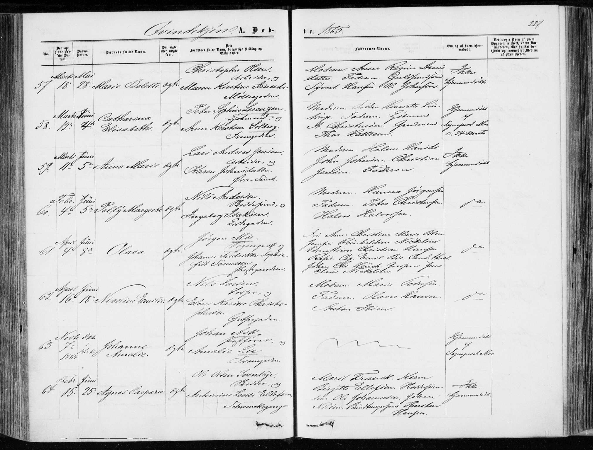 Bragernes kirkebøker, AV/SAKO-A-6/F/Fb/L0003: Parish register (official) no. II 3, 1860-1868, p. 227