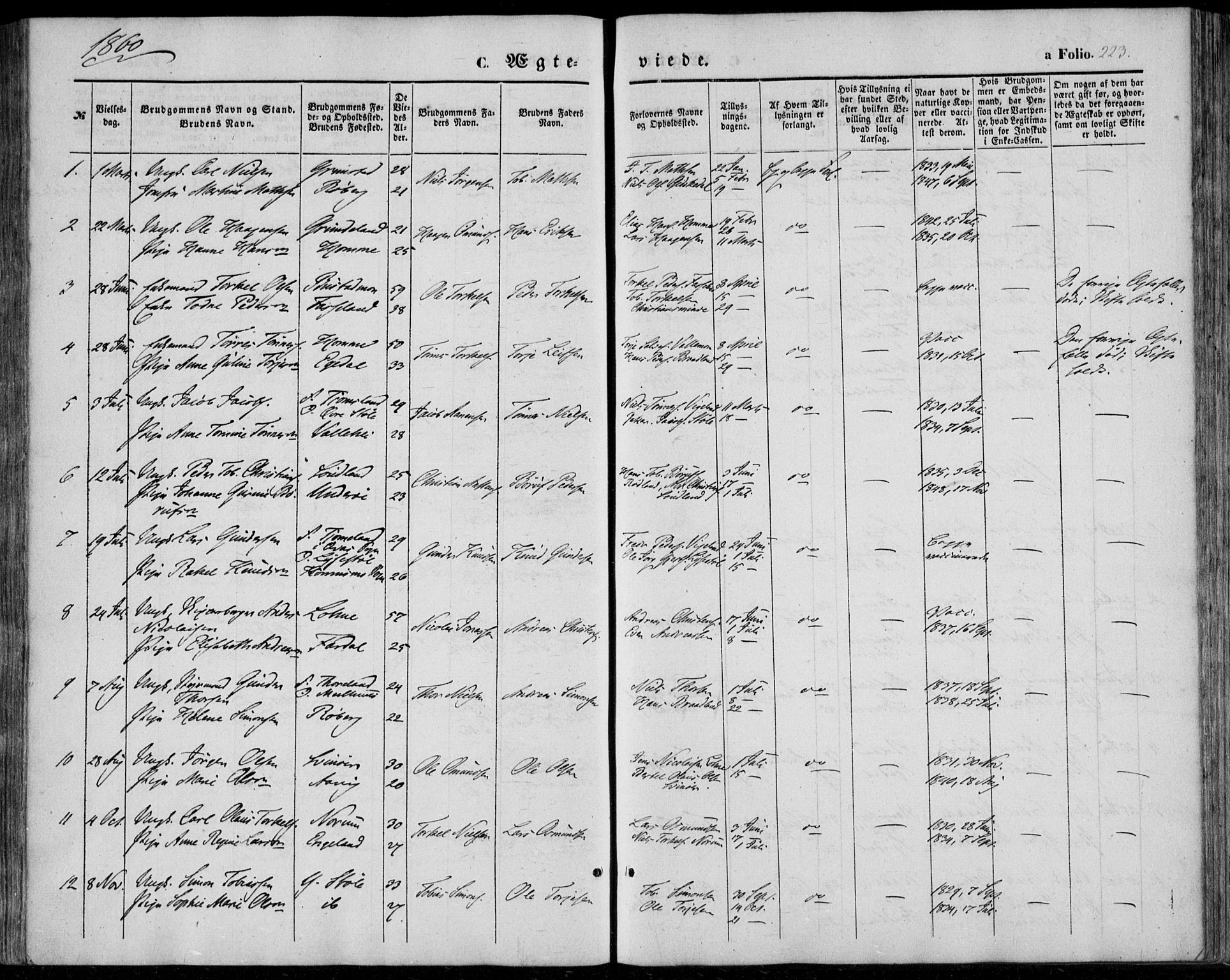 Sør-Audnedal sokneprestkontor, AV/SAK-1111-0039/F/Fa/Fab/L0007: Parish register (official) no. A 7, 1855-1876, p. 223