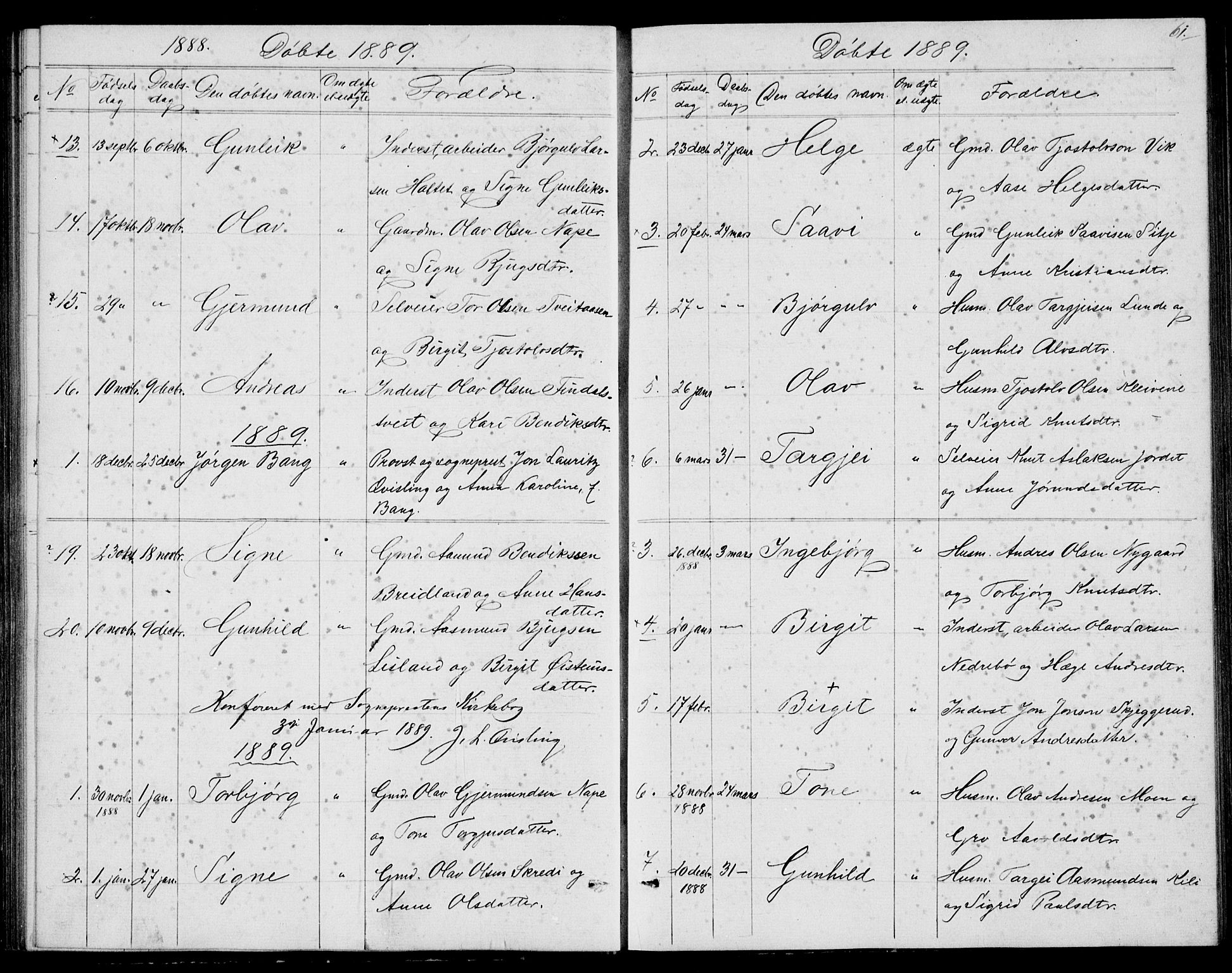 Fyresdal kirkebøker, SAKO/A-263/G/Ga/L0004: Parish register (copy) no. I 4, 1864-1892, p. 61