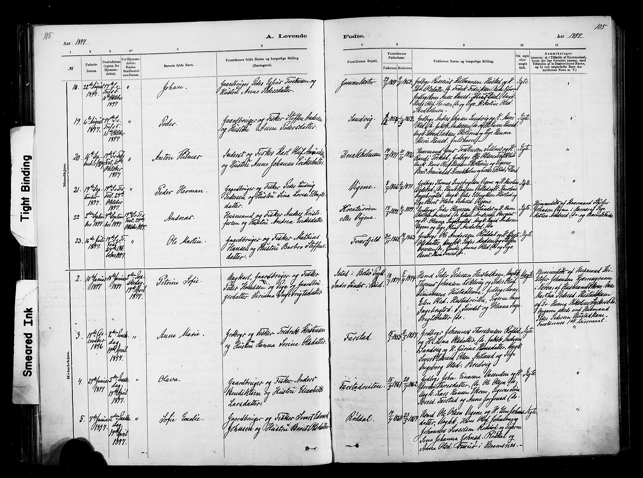 Ministerialprotokoller, klokkerbøker og fødselsregistre - Møre og Romsdal, AV/SAT-A-1454/567/L0778: Parish register (official) no. 567A01, 1881-1903, p. 105