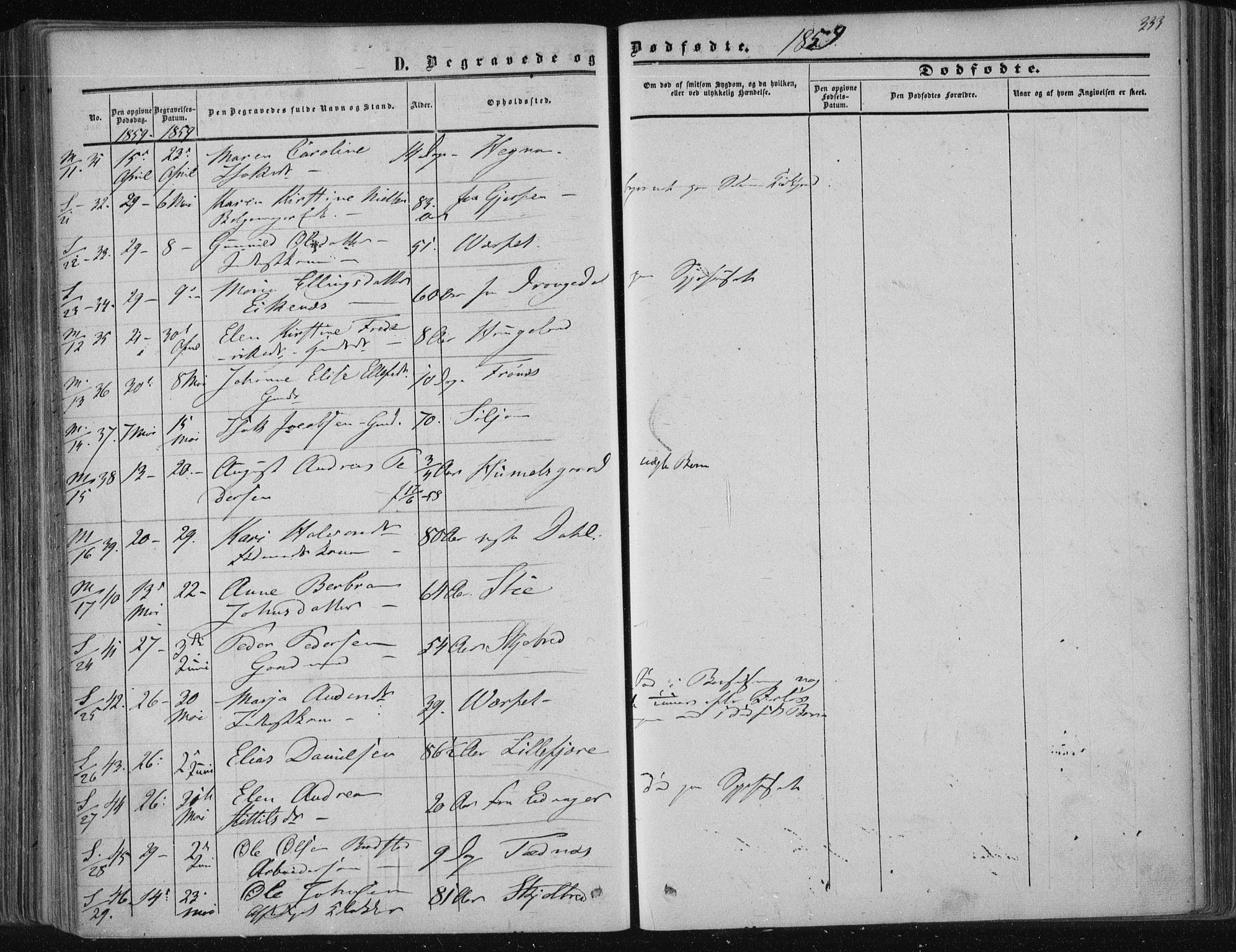 Solum kirkebøker, SAKO/A-306/F/Fa/L0007: Parish register (official) no. I 7, 1856-1864, p. 333