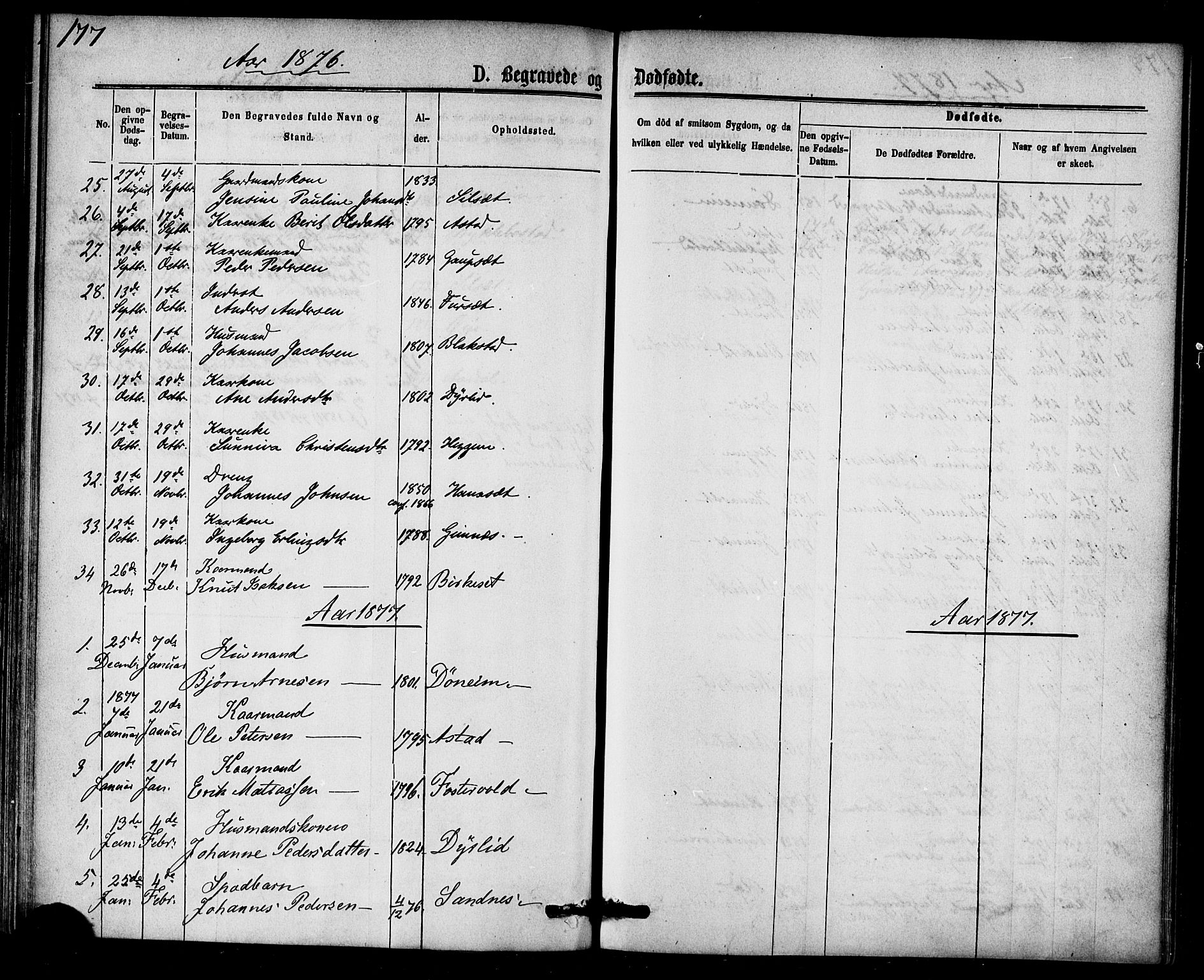 Ministerialprotokoller, klokkerbøker og fødselsregistre - Møre og Romsdal, AV/SAT-A-1454/584/L0966: Parish register (official) no. 584A06, 1869-1878, p. 177