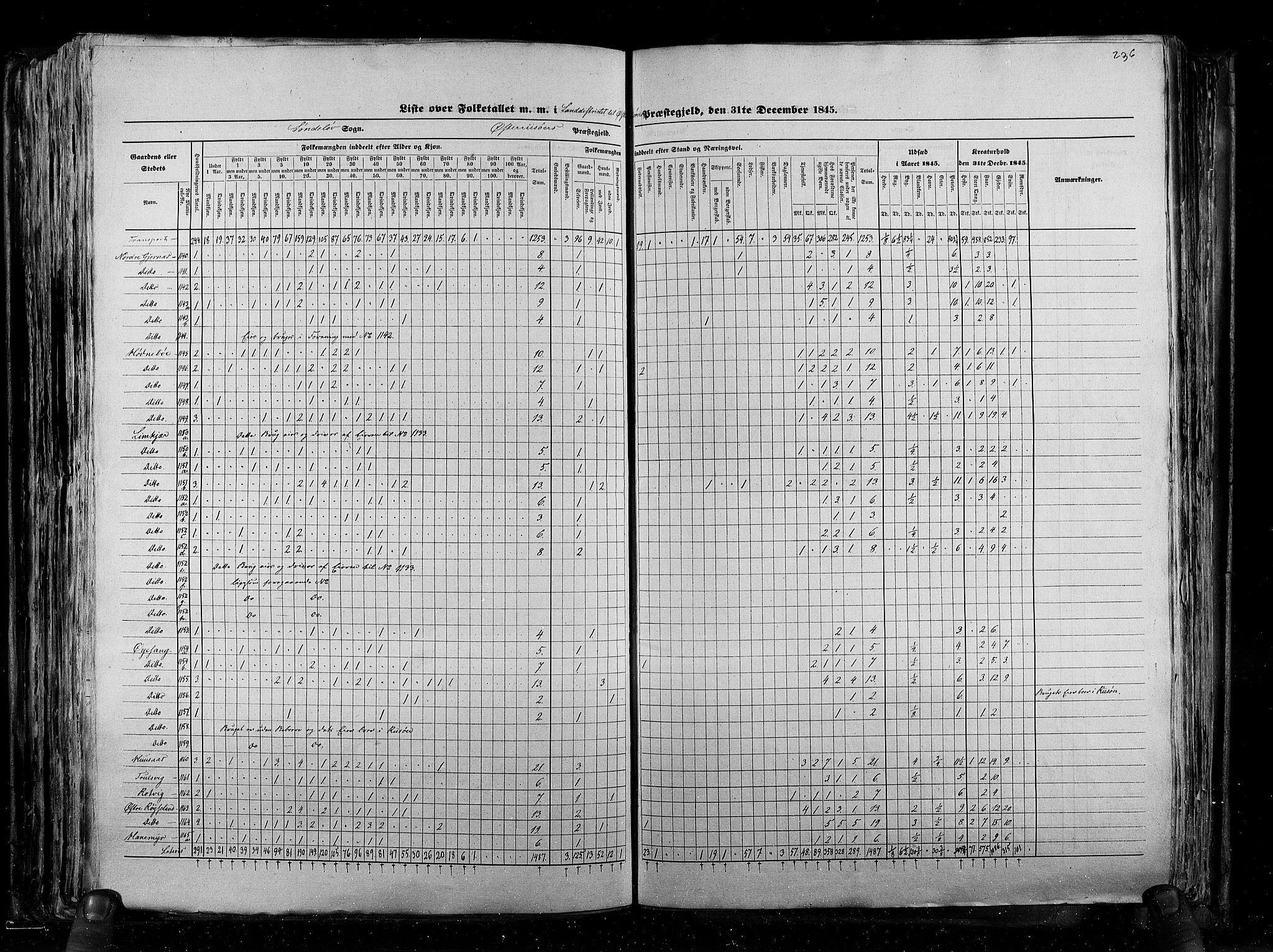 RA, Census 1845, vol. 5: Bratsberg amt og Nedenes og Råbyggelaget amt, 1845, p. 236