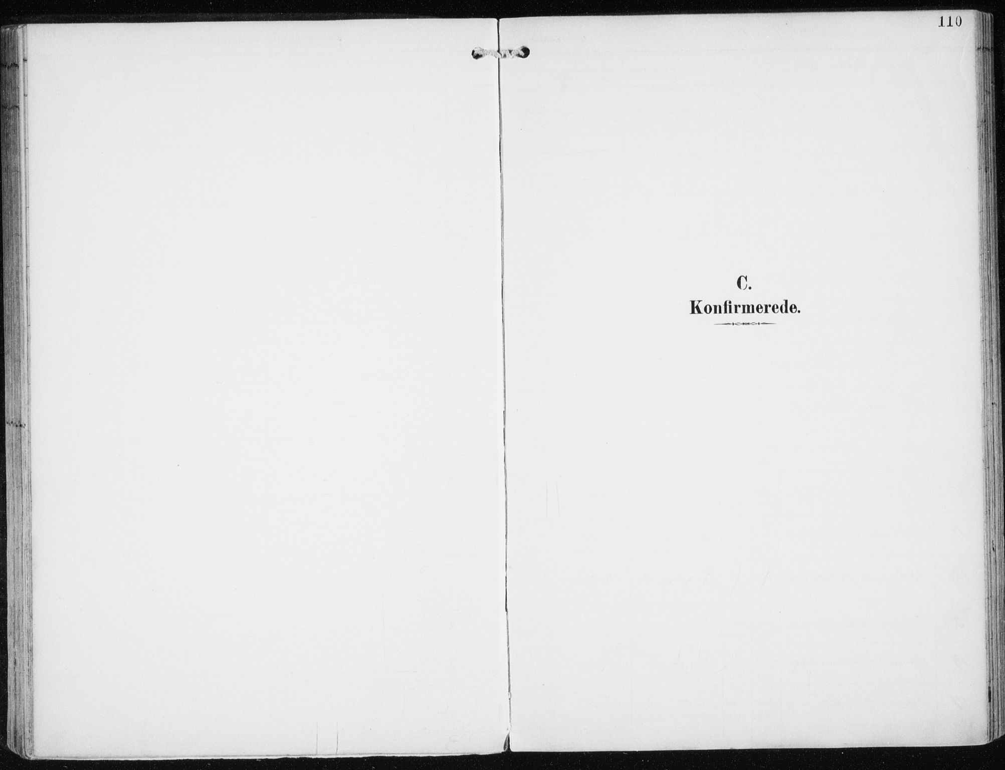 Skjervøy sokneprestkontor, SATØ/S-1300/H/Ha/Haa/L0017kirke: Parish register (official) no. 17, 1895-1911, p. 110