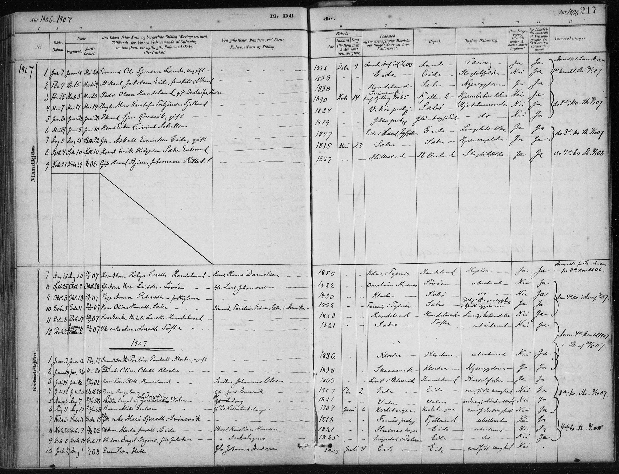 Fjelberg sokneprestembete, SAB/A-75201/H/Haa: Parish register (official) no. C  1, 1879-1918, p. 217