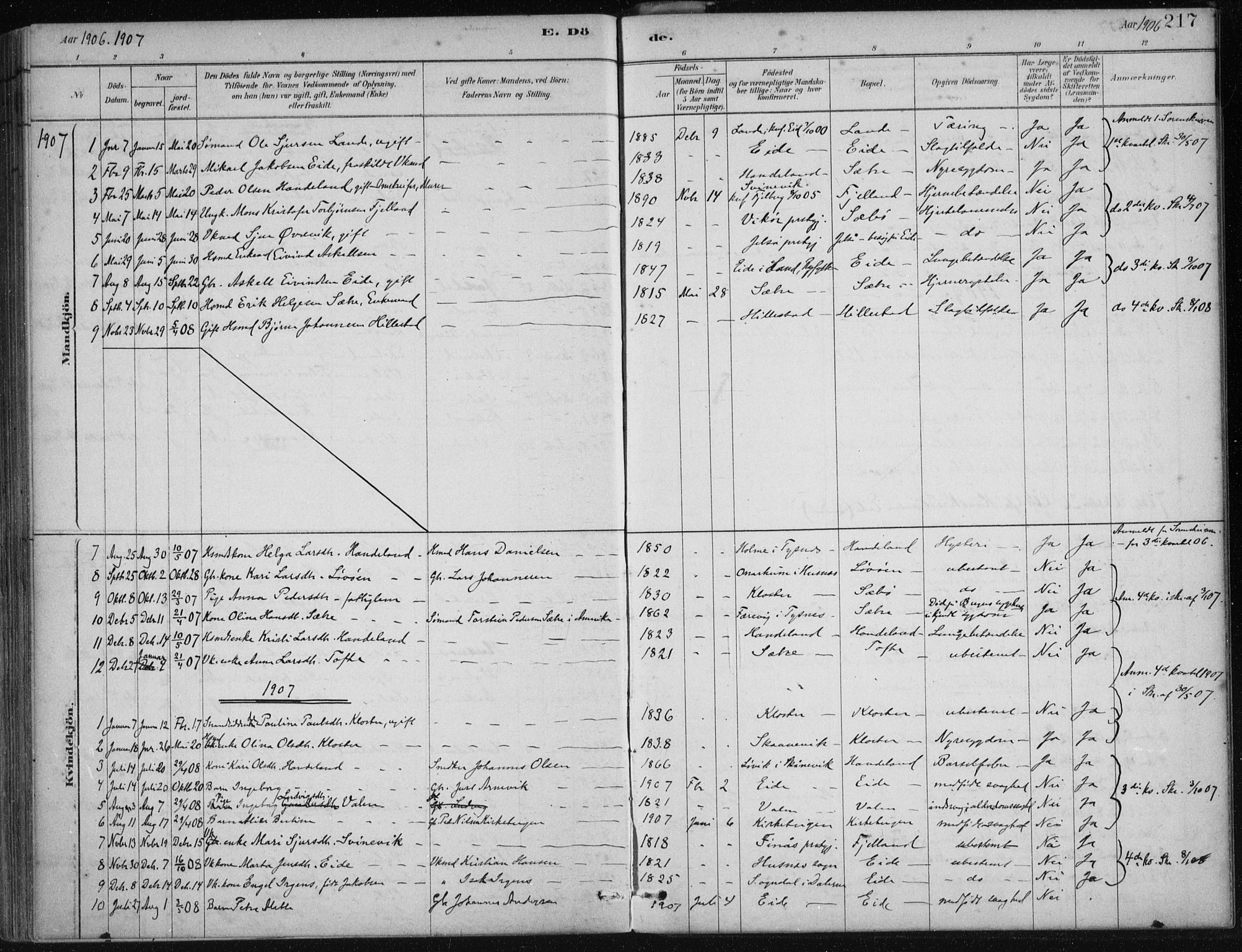 Fjelberg sokneprestembete, AV/SAB-A-75201/H/Haa: Parish register (official) no. C  1, 1879-1918, p. 217