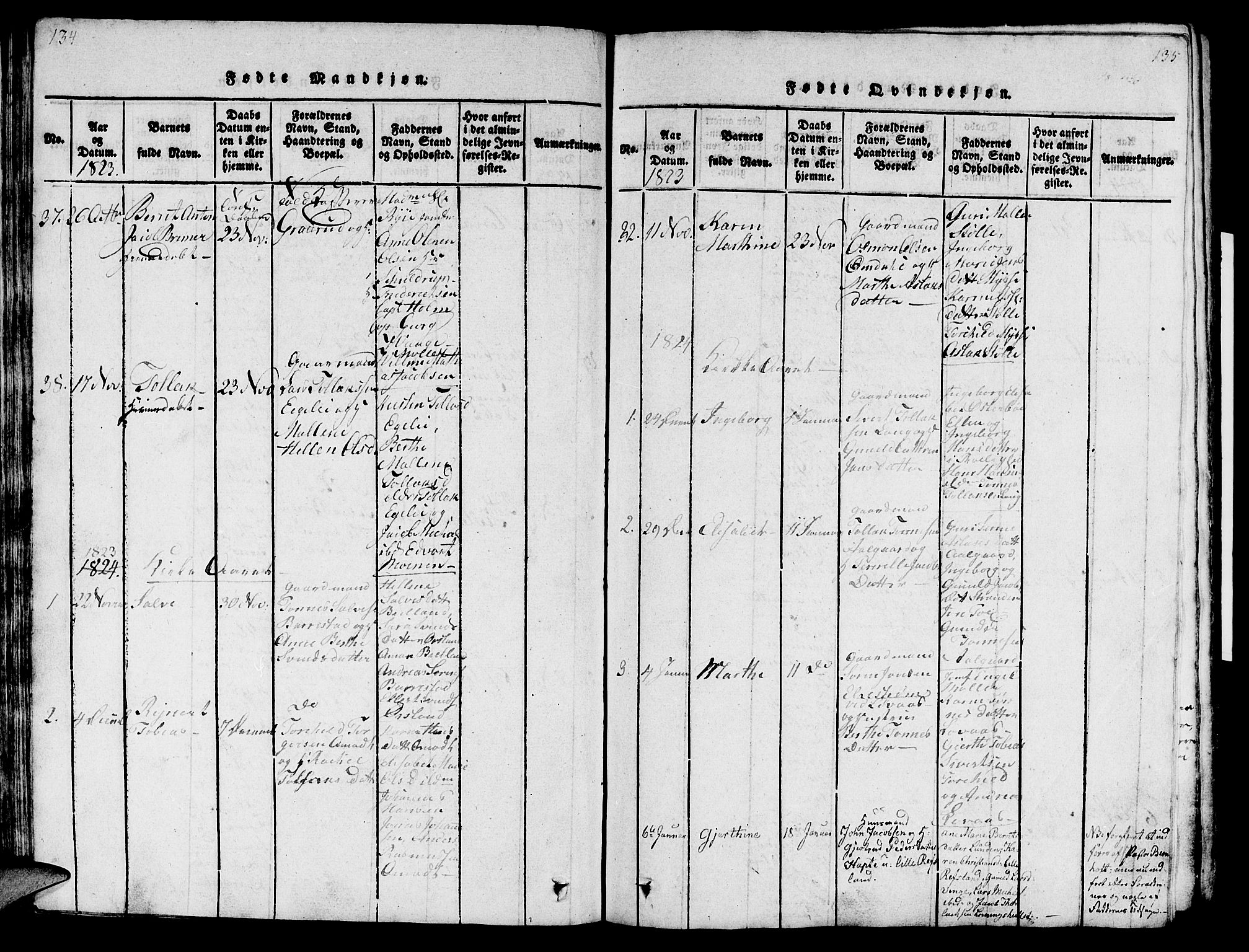 Sokndal sokneprestkontor, AV/SAST-A-101808: Parish register (official) no. A 6, 1815-1826, p. 134-135