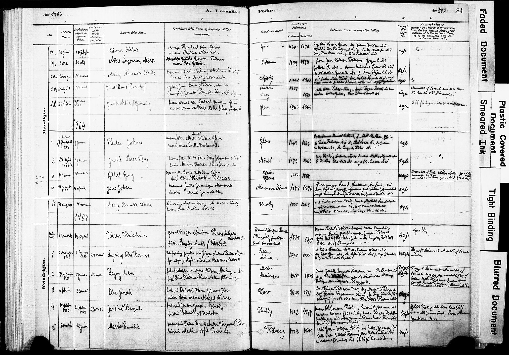 Ministerialprotokoller, klokkerbøker og fødselsregistre - Nordland, AV/SAT-A-1459/835/L0525: Parish register (official) no. 835A03I, 1881-1910, p. 84