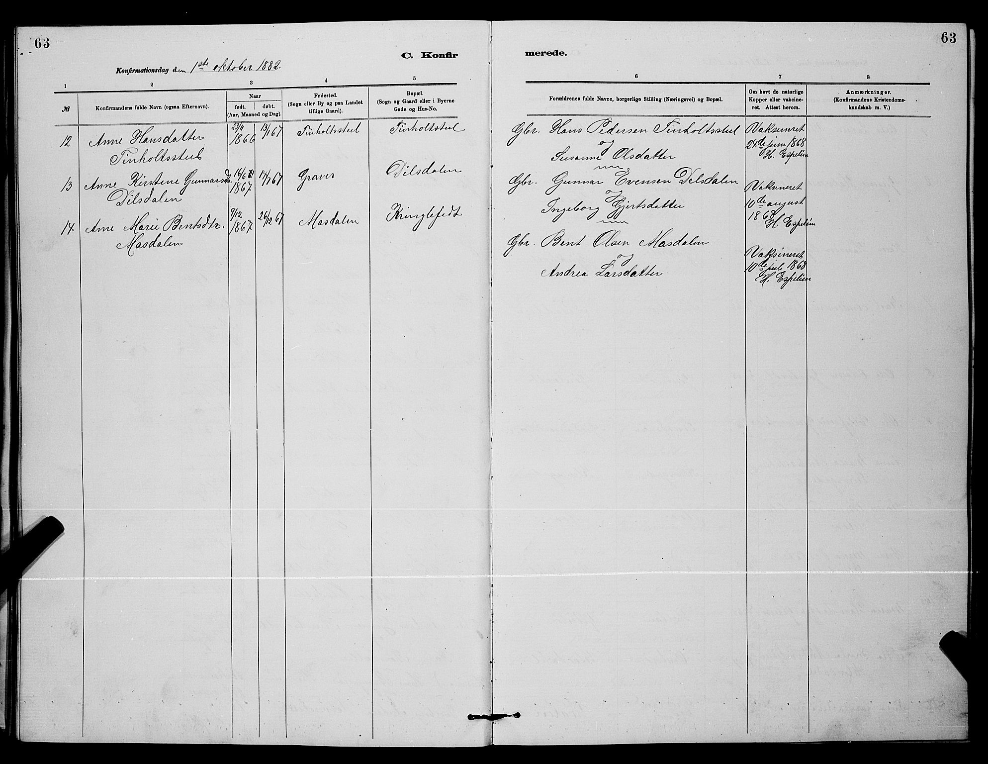 Holla kirkebøker, SAKO/A-272/G/Gb/L0001: Parish register (copy) no. II 1, 1882-1897, p. 63