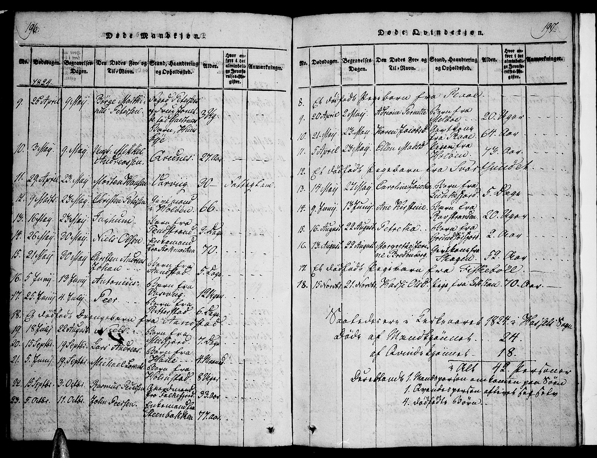 Ministerialprotokoller, klokkerbøker og fødselsregistre - Nordland, AV/SAT-A-1459/888/L1237: Parish register (official) no. 888A05 /1, 1820-1836, p. 196-197