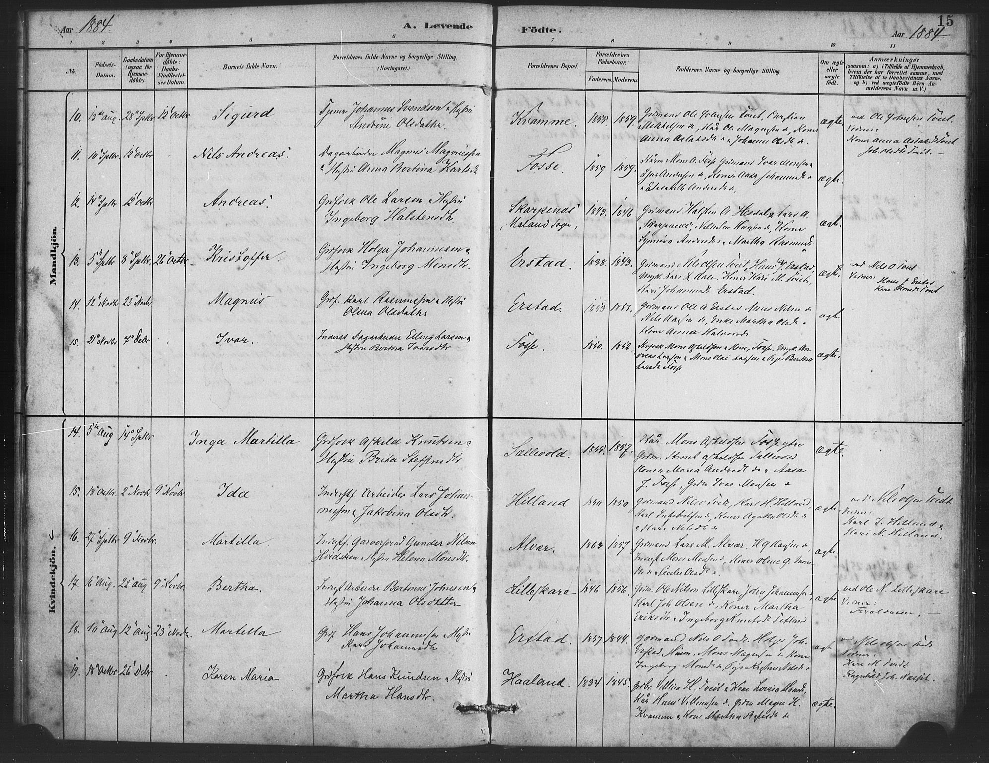 Alversund Sokneprestembete, AV/SAB-A-73901/H/Ha/Haa/Haaa/L0001: Parish register (official) no. A 1, 1882-1896, p. 15