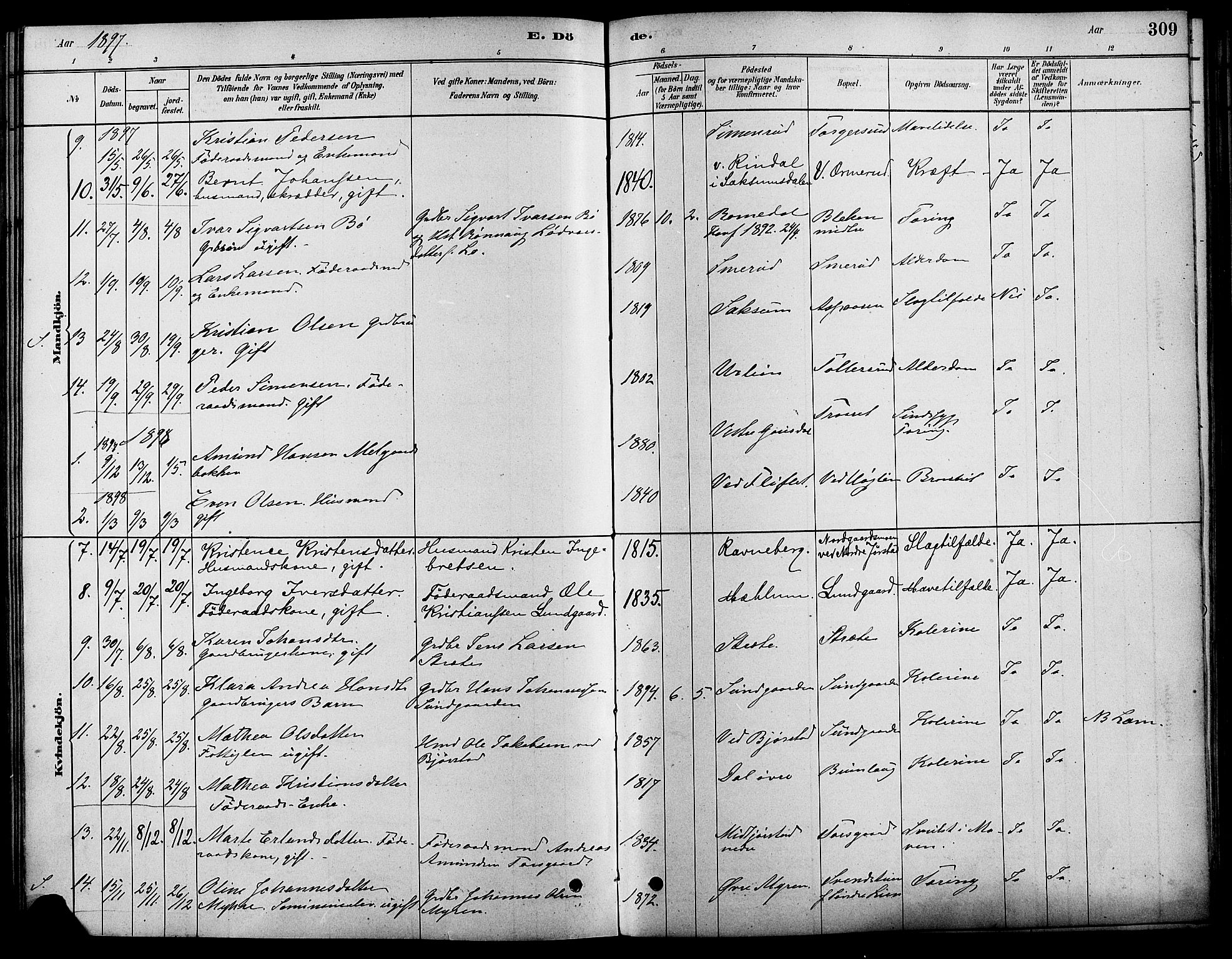 Fåberg prestekontor, SAH/PREST-086/H/Ha/Haa/L0008: Parish register (official) no. 8, 1879-1898, p. 309