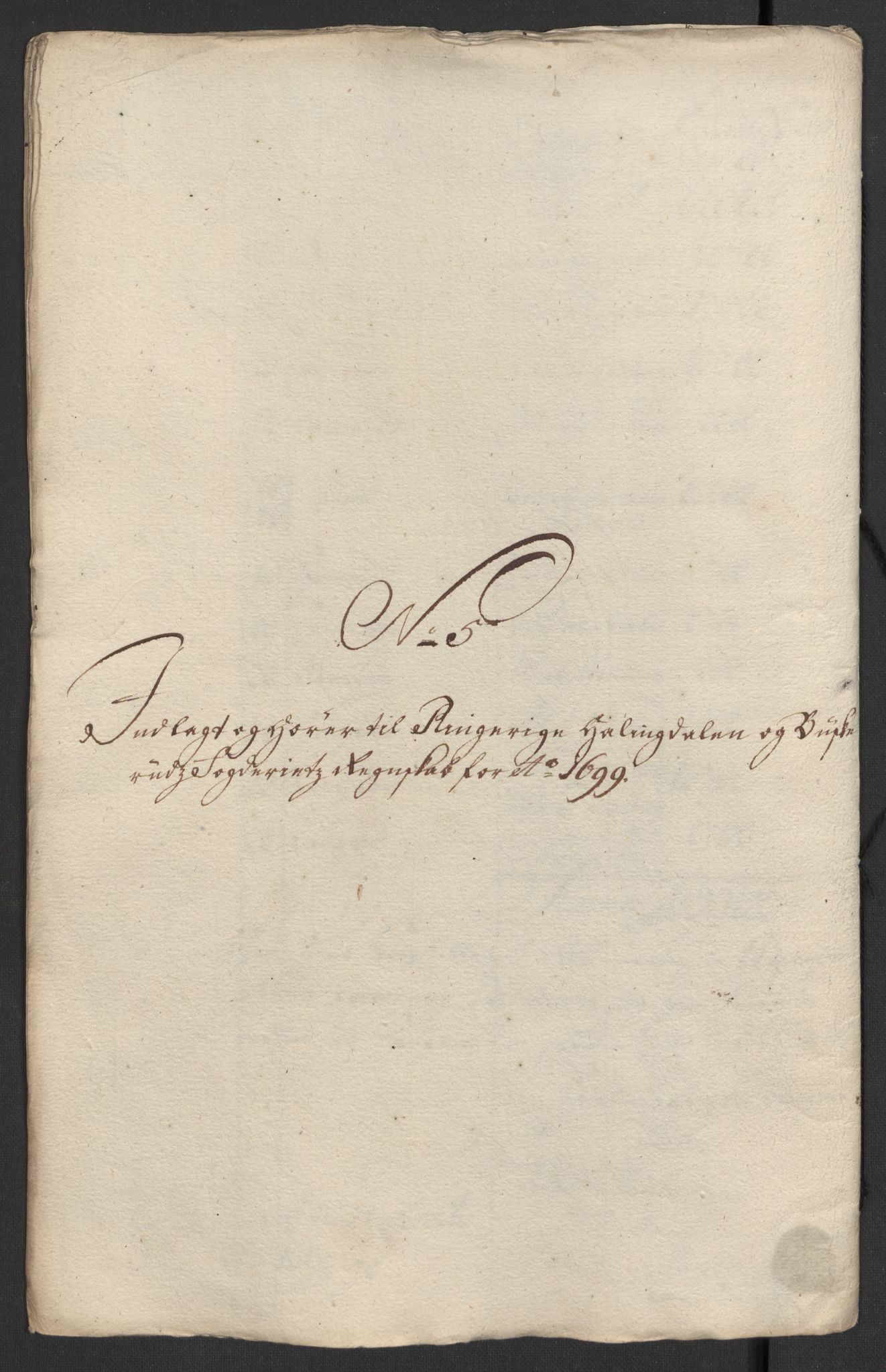 Rentekammeret inntil 1814, Reviderte regnskaper, Fogderegnskap, RA/EA-4092/R22/L1456: Fogderegnskap Ringerike, Hallingdal og Buskerud, 1699, p. 282