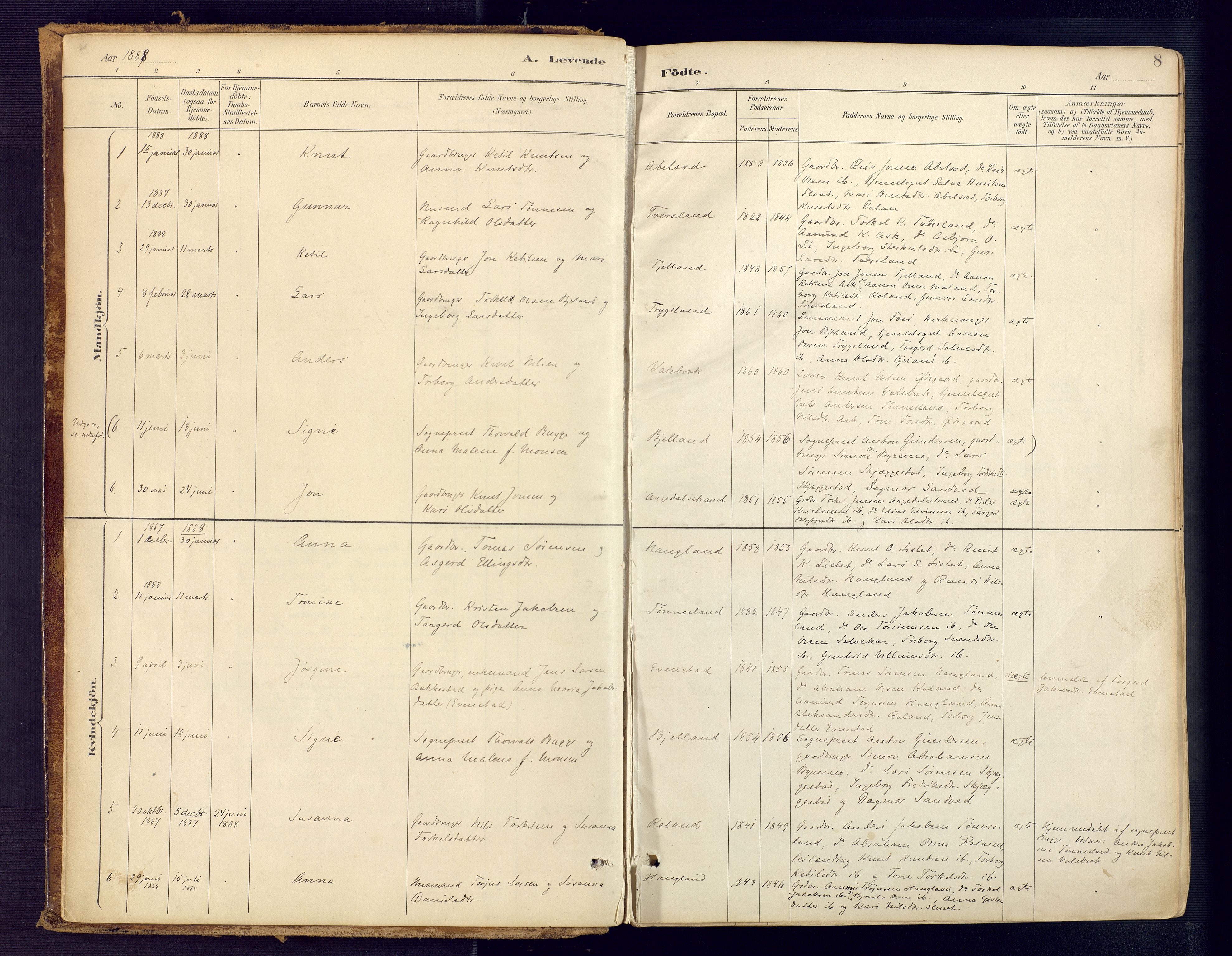 Bjelland sokneprestkontor, SAK/1111-0005/F/Fa/Faa/L0004: Parish register (official) no. A 4, 1887-1923, p. 8