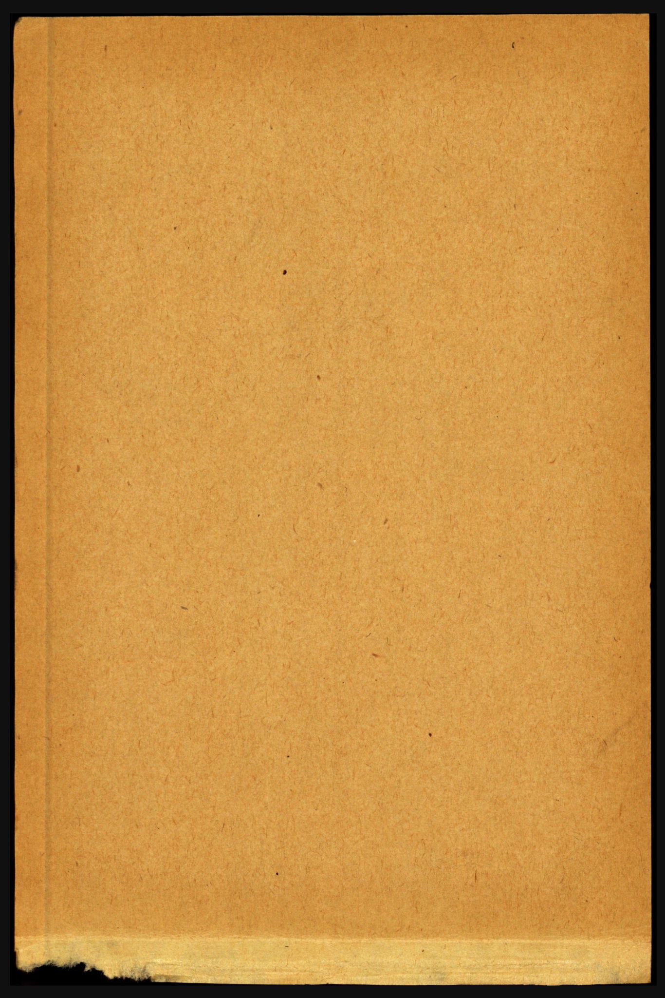 RA, 1891 census for 1842 Skjerstad, 1891, p. 295