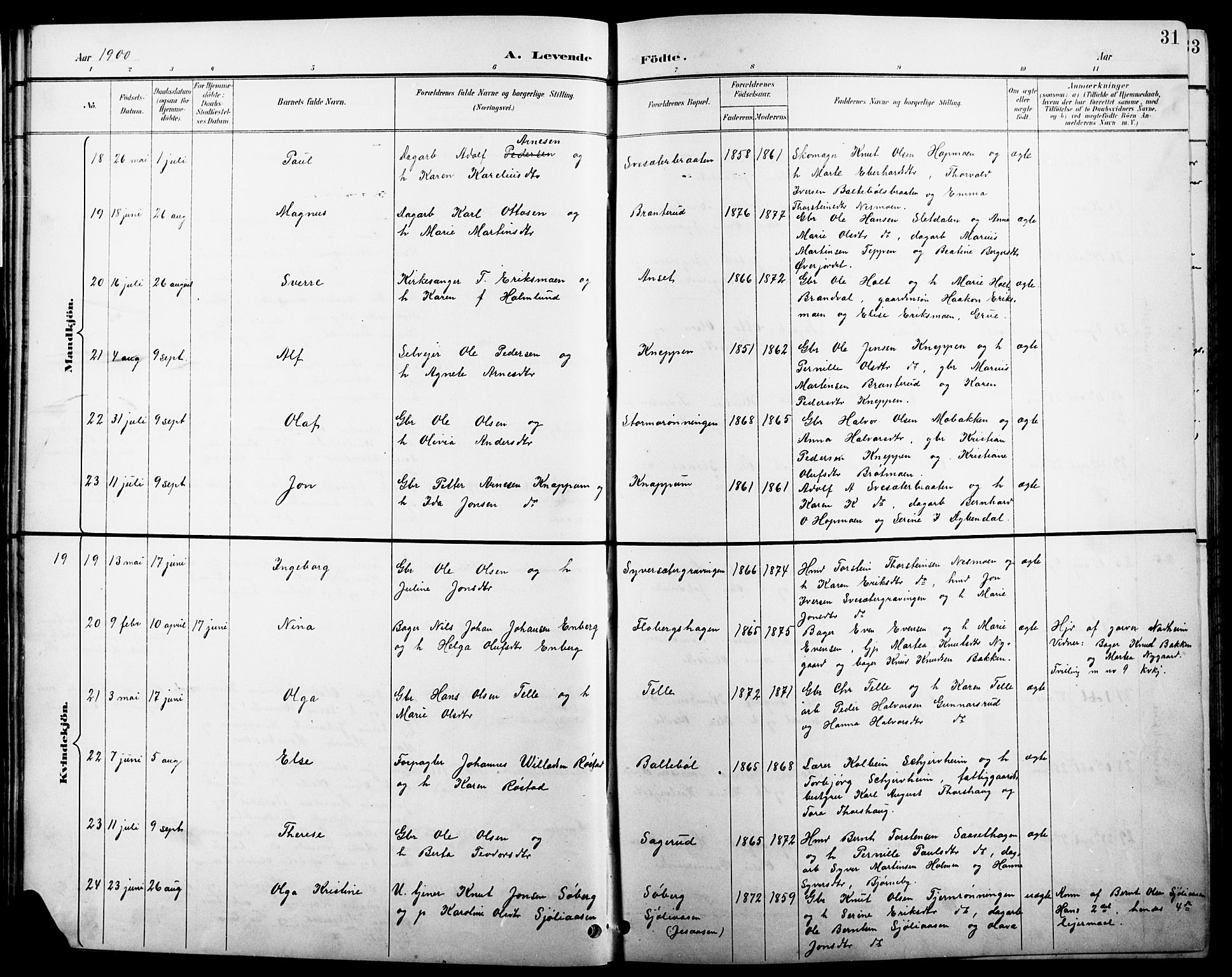 Åsnes prestekontor, AV/SAH-PREST-042/H/Ha/Hab/L0004: Parish register (copy) no. 4, 1895-1909, p. 31